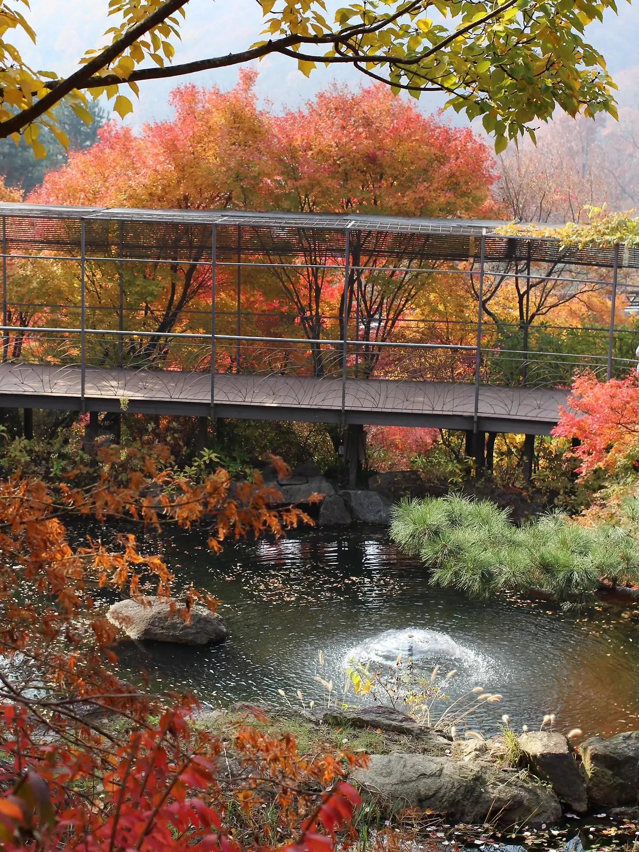 580136620_18541652917045353_9161688334271262450_n.jpg?_nc_cat=106&ccb=1-7&_nc_sid=127cfc&_nc_ohc=fXdr3fjRr_IQ7kNvwHeM8WT&_nc_oc=Adneh5GuySLZTjvytcoCpZGZo5GIq_rGTP4NyXPv5uzGSRVhsv8xKL_bbxM6BOn7zxc&_nc_zt=23&_nc_ht=scontent-ssn1-1.xx&_nc_gid=rgnqGn7yZmvwv3xGHqvi5g&oh=00_AfouI3tDGIP25FoDfQnYJQ5VXTMrIczW2N_nBItY1UEXHA&oe=695D3621