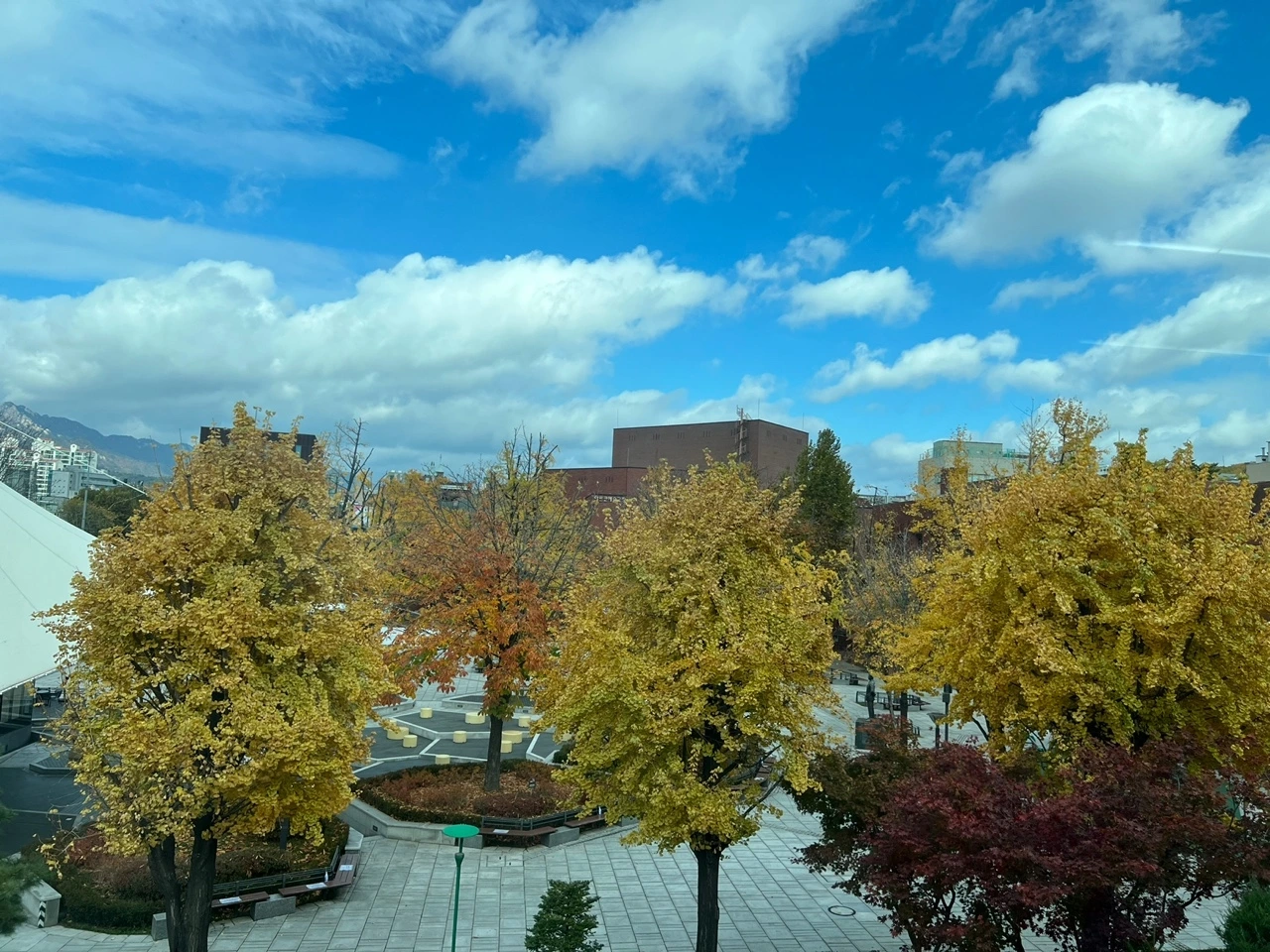 KakaoTalk_Photo_2021-12-19-01-32-18 011.jpeg