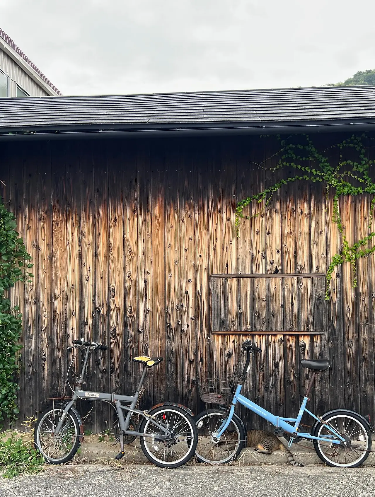 553503538_18530020456045353_8966872514572929021_n.jpg?_nc_cat=101&ccb=1-7&_nc_sid=127cfc&_nc_ohc=GVUVEY3Ka7cQ7kNvwGhuOnJ&_nc_oc=AdkWALM14YsizbHcYy3BQy1xzZaRceod90HsAtYZZLC_gwDDOnykx0d4jcpQsw3jkoI&_nc_zt=23&_nc_ht=scontent-ssn1-1.xx&_nc_gid=EPM98rjcK0LoeWaV_fQbLA&oh=00_Afd8hdQJfqIRI8DwcK4m8i_-_PQVC-aE2ifHCgsyErjJWg&oe=68E6F19C