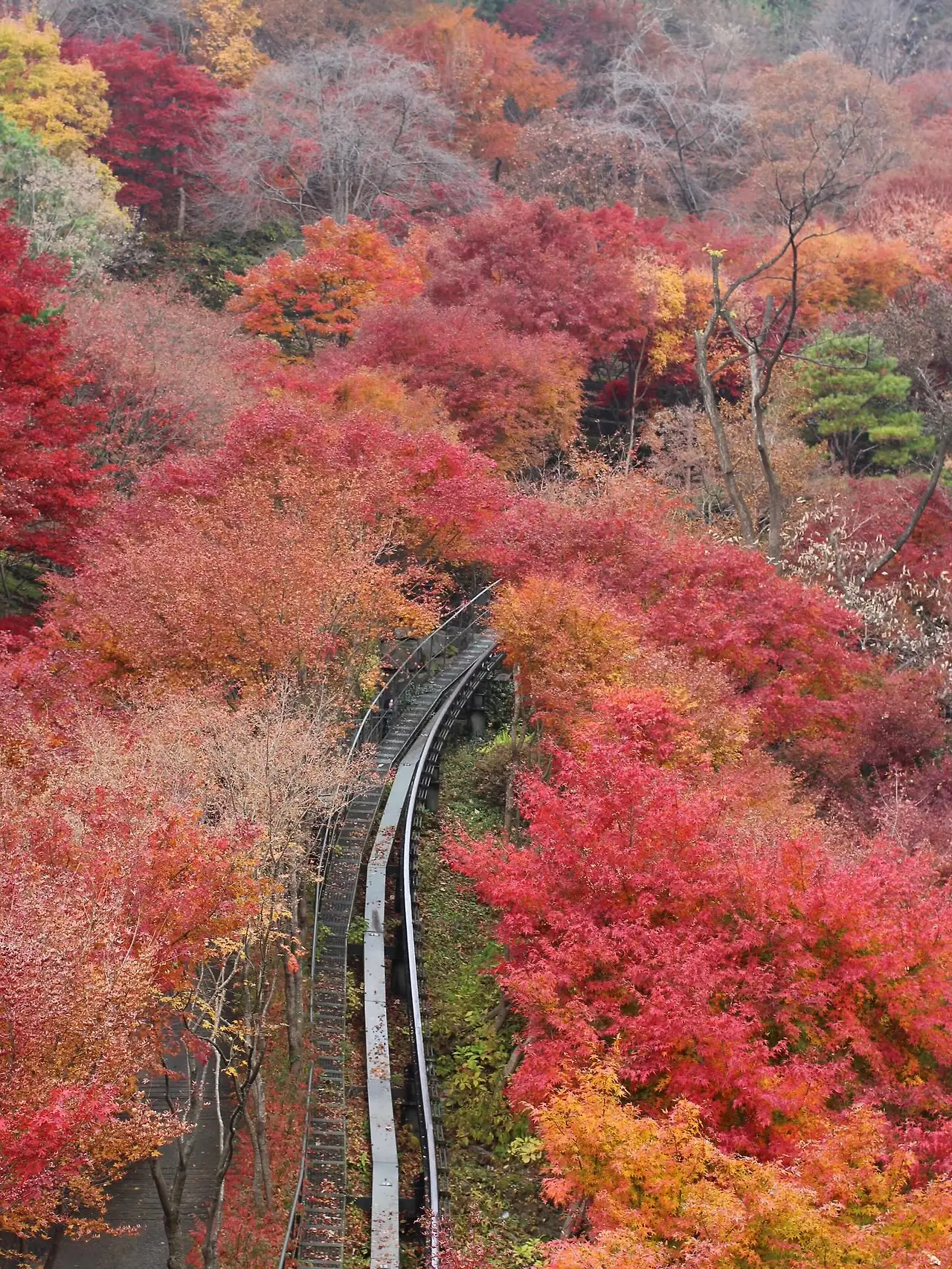 581265202_18541652773045353_5872670798074076936_n.jpg?_nc_cat=105&ccb=1-7&_nc_sid=127cfc&_nc_ohc=KrFq8I6u0WgQ7kNvwGYxMUw&_nc_oc=AdnwgkpxmcsugMQLX8a-h2rVgWBX9_BhasO6ia_83lijLly3jWG2XMHIoULr0ZMWc5E&_nc_zt=23&_nc_ht=scontent-ssn1-1.xx&_nc_gid=GohZoltEt89h4haFqEldDA&oh=00_AfqeY4McugmMU42vwsHBLbW1hEkhETi4FTAaQqHckC5qAQ&oe=695D3903