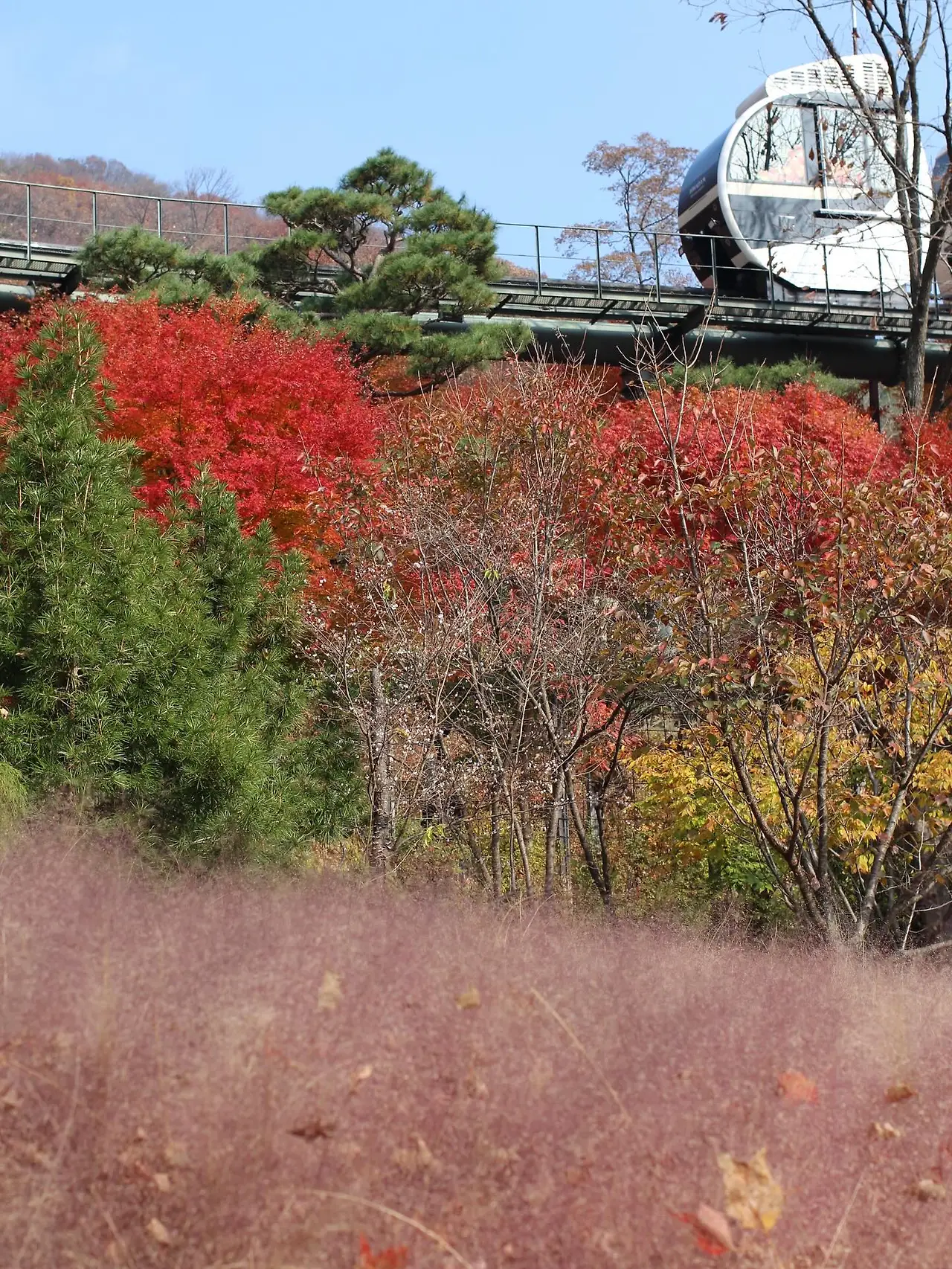 583127472_18541652860045353_4506962334695925178_n.jpg?_nc_cat=110&ccb=1-7&_nc_sid=127cfc&_nc_ohc=XtUUVucipmsQ7kNvwFE9Ccc&_nc_oc=AdnLRRp14ma0hjwrC7OXW6JPP883NHGD_N3giTLSWIpAAjaNjK0Uo0vS9uBOSTmAeK4&_nc_zt=23&_nc_ht=scontent-ssn1-1.xx&_nc_gid=wzj6QxE52LkqGWe2Zsthhg&oh=00_AfpnzI4N_ur-WwtMP6LNyKJ082nLZ--yaK_1Y7OuBeNCsw&oe=695D3DCB