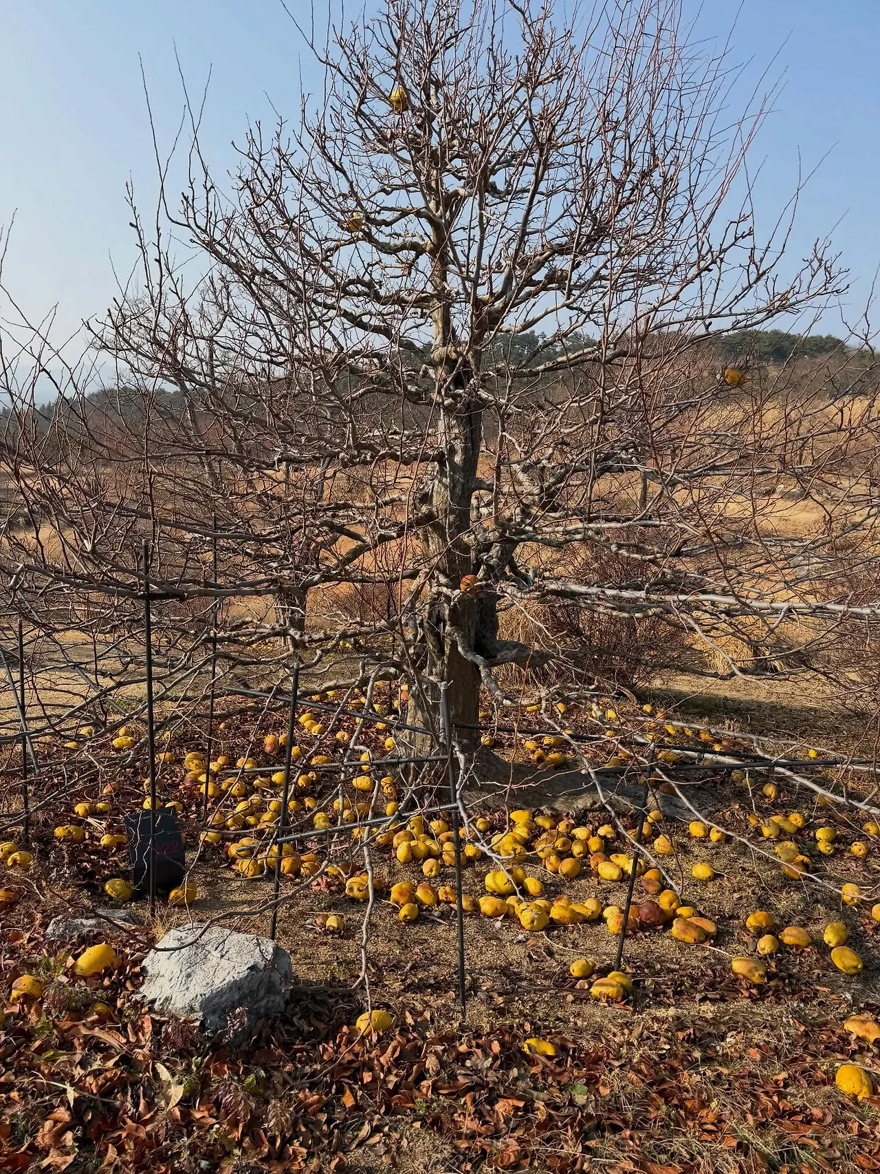 601012537_18547194556045353_3889519225308275020_n.jpg?stp=dst-jpegr_tt6&_nc_cat=100&ccb=1-7&_nc_sid=127cfc&_nc_ohc=K1Ld1qaIJg8Q7kNvwF57FLw&_nc_oc=AdlECQSM8H-XA2Xw1aXFhpWMt2_qfT4mTeoteKs8Iz8FTCE5QqCDpkwayVlUygR2on4&_nc_zt=23&se=-1&_nc_ht=scontent-ssn1-1.xx&_nc_gid=1uMsC-P78OPblPO7hC9iFw&oh=00_AfrK0nS_TY3lnvwgZ5MMmsGxG-ksSkejZD3houbbQ_CJSA&oe=696C4AB4