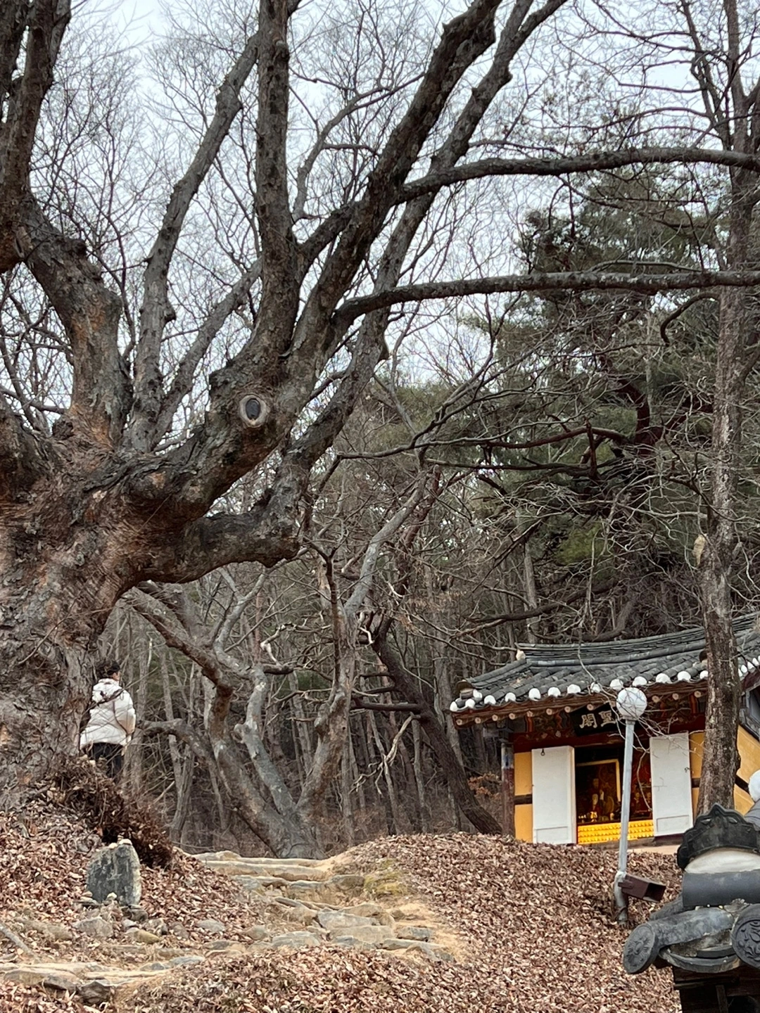 KakaoTalk_Photo_2023-02-04-13-46-19 012.jpeg