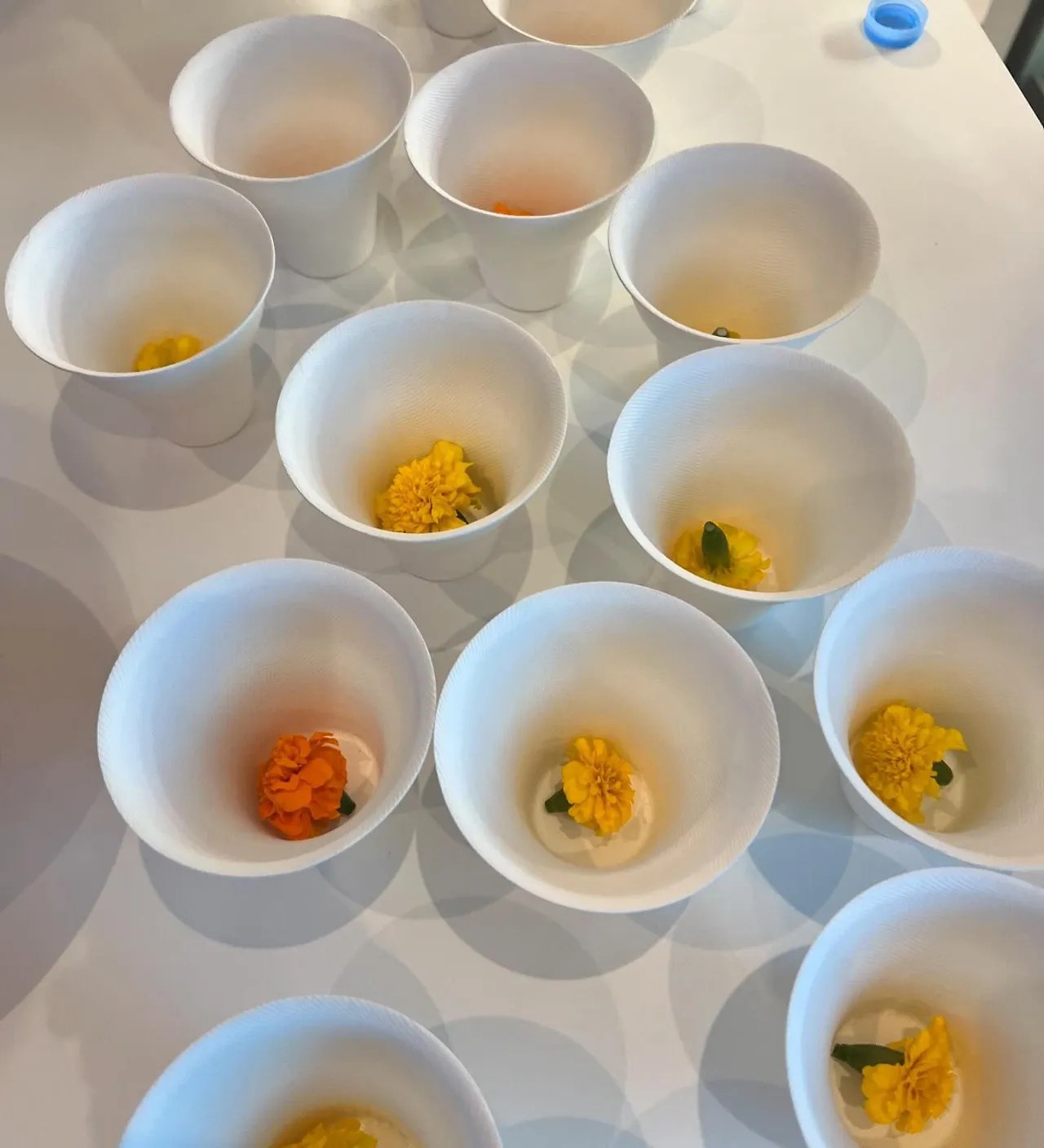 450210916_18444864109045353_5734890783505525018_n.jpg?stp=dst-jpegr&_nc_cat=103&ccb=1-7&_nc_sid=127cfc&_nc_ohc=uwBs9HIFS3gQ7kNvgHzRaQt&se=-1&_nc_ht=scontent-ssn1-1.xx&oh=00_AYDZDi3FDXhep4C7_i_oiFubKLpLj2EFNmN9c4OGafs-mg&oe=669D3A06