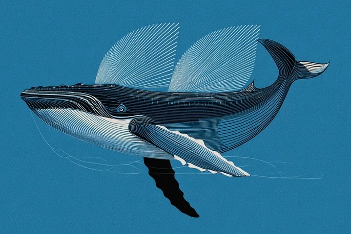 543816011_18526625152045353_5054361392089388786_n.jpg?_nc_cat=103&ccb=1-7&_nc_sid=127cfc&_nc_ohc=tlpmAQqwFTwQ7kNvwF8_AfK&_nc_oc=AdnyPXyeUDY5RC-Y_PLUUPZIwwEsOu9_7EVLrWMivNcr-ETnOfxIwUwVRQ28TMNQ9Zg&_nc_zt=23&_nc_ht=scontent-ssn1-1.xx&_nc_gid=W_LKo5wTicQxrNKFzjTfQg&oh=00_Afdq8oOJosmPqvj_HuosmeNTQ1Lo_yzzBHFGNyvyY589LQ&oe=68E69620