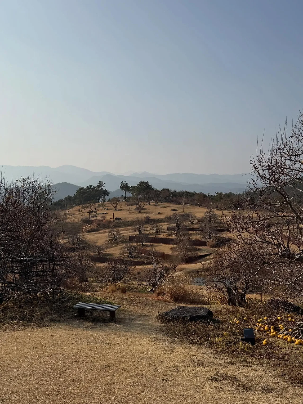 601013598_18547194538045353_6699326506901569901_n.jpg?stp=dst-jpegr_tt6&_nc_cat=104&ccb=1-7&_nc_sid=127cfc&_nc_ohc=LZbeG-7f-GsQ7kNvwEUCML0&_nc_oc=AdmqMwKIQx5jYOkIiMpd3r9hkzunQS2AELL55Q84PkYs5Bnj9MOd6Xx00iwo-h_Aylw&_nc_zt=23&se=-1&_nc_ht=scontent-ssn1-1.xx&_nc_gid=oVyC7aprgcQM2p1MgJwh1w&oh=00_AfoxFNGMTKZrvXiFkmpDnUpOPyKWFigWt5xBJCGFjRHqEQ&oe=696C4BA5