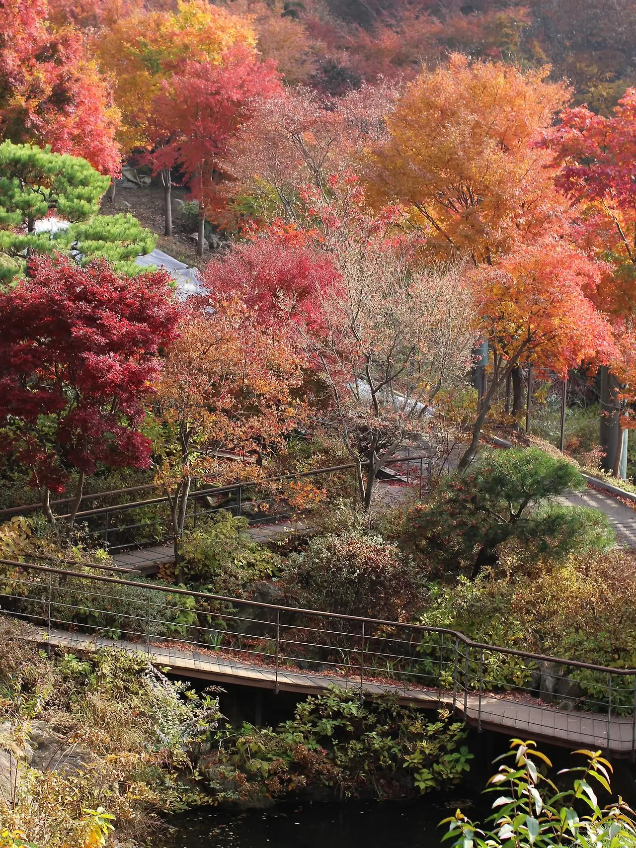 581612878_18541652908045353_8065884705433004629_n.jpg?_nc_cat=101&ccb=1-7&_nc_sid=127cfc&_nc_ohc=cNZK-1ILUpwQ7kNvwF6u_uY&_nc_oc=AdmNOryZz5w8pvQjx9Cc2hVnOdboqdPih0Hqq57sEU7NFvGS4FNBuf2V6vgWIpMWmSw&_nc_zt=23&_nc_ht=scontent-ssn1-1.xx&_nc_gid=uk03K-o9GBNCynQtYlmFuw&oh=00_Afozmdo5bqPaZPRXn7nLaa-LxFYkoEqMkfhweCF3yF8j-Q&oe=695D5114