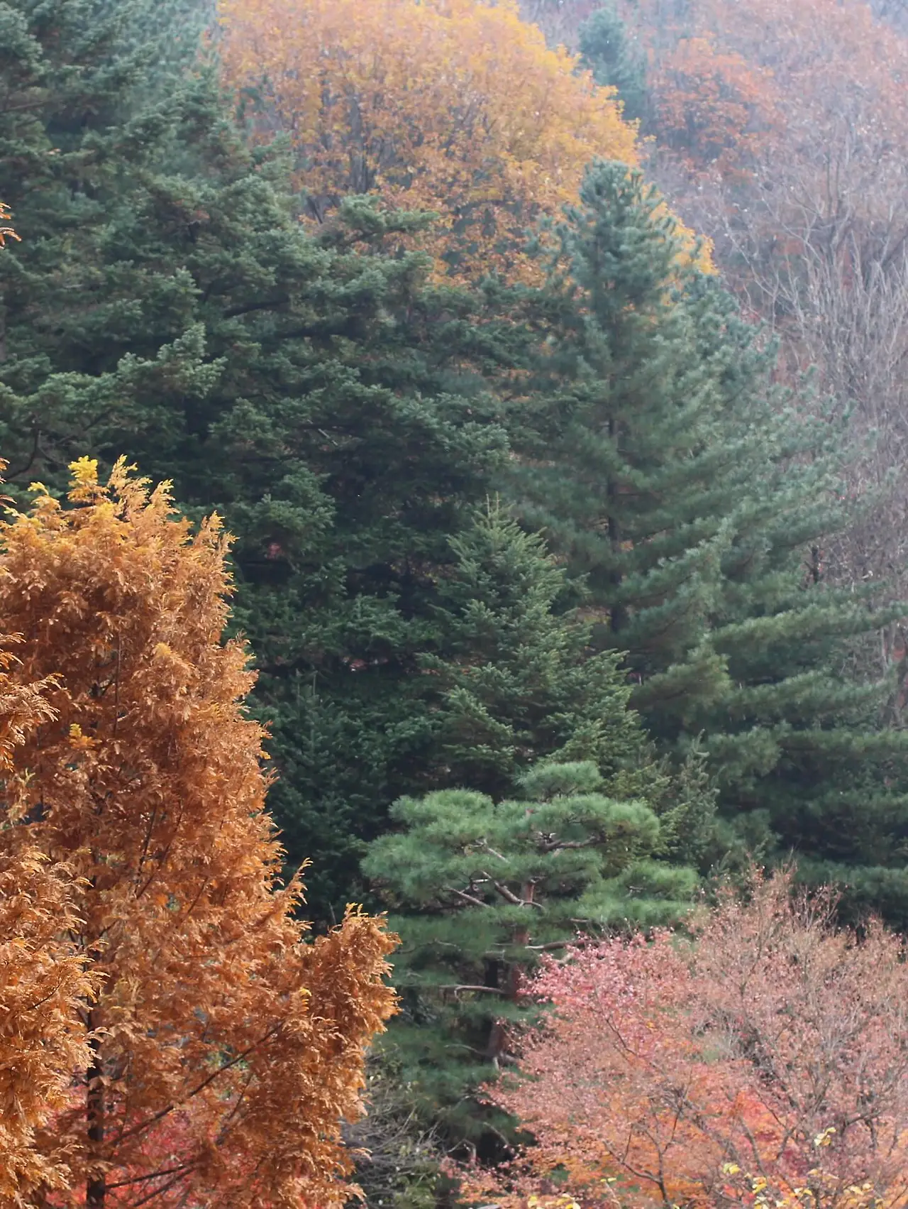 583772713_18541652830045353_3767491204498329296_n.jpg?_nc_cat=107&ccb=1-7&_nc_sid=127cfc&_nc_ohc=tZ5SdayKWzUQ7kNvwEpnje7&_nc_oc=Adkh8aSN5IPmG8SDtGogKn-vpq-_yvNiOZSHz34feN7rqxjnIx5_vHoiOjCVzv03lI8&_nc_zt=23&_nc_ht=scontent-ssn1-1.xx&_nc_gid=-gslEOWkQajokjm03VNcyw&oh=00_Afp1f_ppDDccp0DvjTKEsybjHPk_FC-SvolKKikUD3WQUw&oe=695D6332