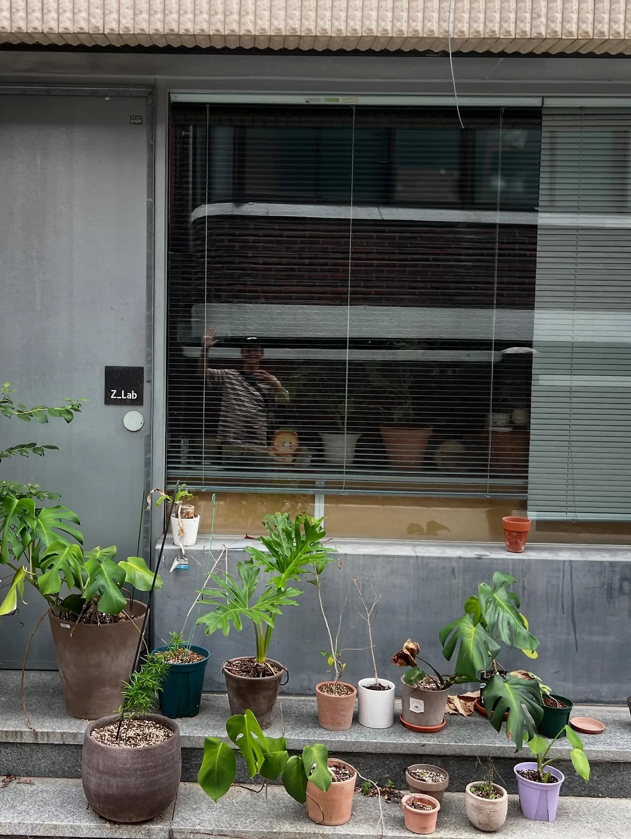 538140741_18523202965045353_6694614479044980660_n.jpg?stp=dst-jpegr_tt6&_nc_cat=111&ccb=1-7&_nc_sid=127cfc&_nc_ohc=2kyK_-cMH5YQ7kNvwHZ1lSa&_nc_oc=Adn55pTGzpmXTScKcKpJBaxxsC-fUJpM6ifH605AlSr8OZdCcNT6hGqM4V91EQa3a7k&_nc_zt=23&se=-1&_nc_ht=scontent-ssn1-1.xx&_nc_gid=onmFXtzV5pVIrX9fLfSypA&oh=00_AfdE6tM8cbMXQTKjWuuKpozKn7rDh3eFUAvTQkAvyI2Bkw&oe=68E5C535