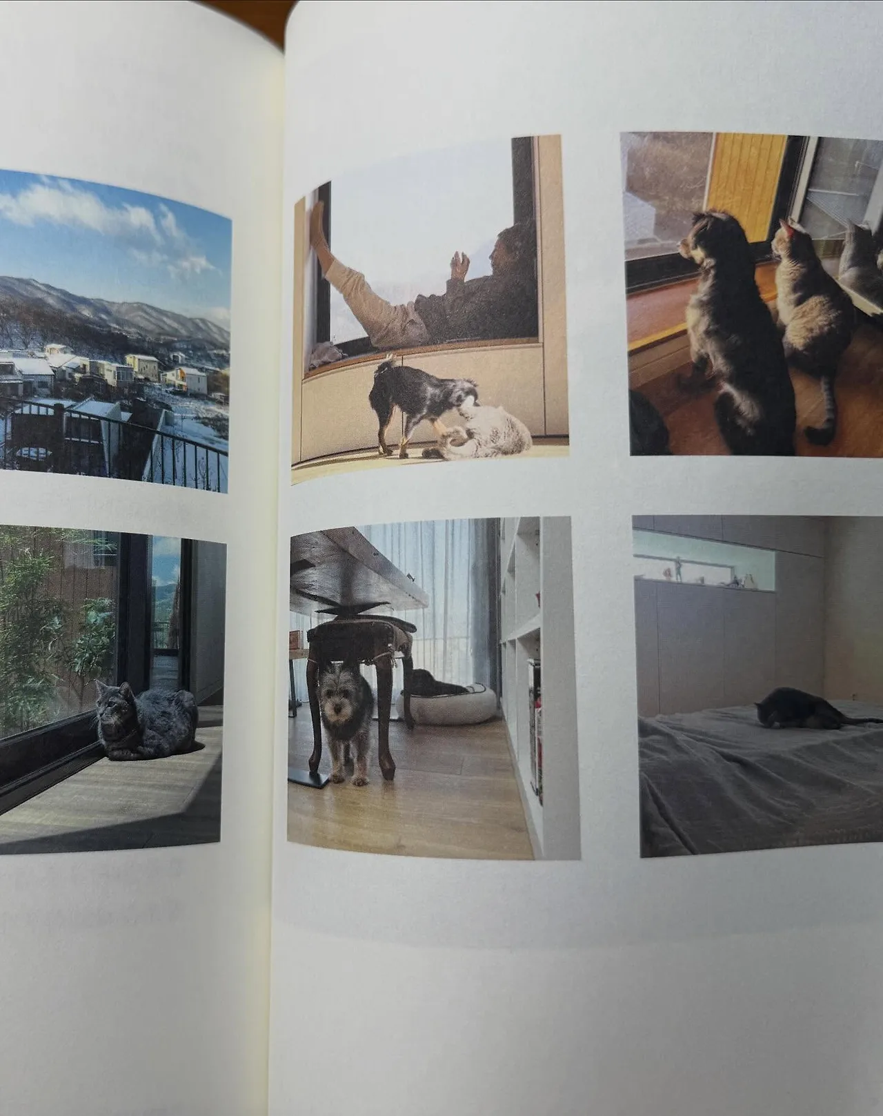 574734789_18540405538045353_3594412881917369807_n.jpg?stp=dst-jpegr_tt6&_nc_cat=106&ccb=1-7&_nc_sid=127cfc&_nc_ohc=k1Al44q2B3gQ7kNvwHcZhMF&_nc_oc=AdmLVtbSF91KGdwbuTXCMnXCs6ovCLP4zgBYECmJId-88JnmzKbNZ2ljeYSvOgisNd0&_nc_zt=23&se=-1&_nc_ht=scontent-ssn1-1.xx&_nc_gid=KTtt7ORLSGmGDrPg69Tiog&oh=00_Afpy4K-9mtvSWpD38OzyqFmkLe7AW7y4IA4Uk2agaxGDiA&oe=695D33B8