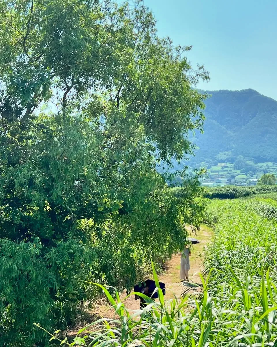 453875997_18450179365045353_4959520773398216374_n.jpg?stp=dst-jpegr_p960x960_tt6&_nc_cat=111&ccb=1-7&_nc_sid=127cfc&_nc_ohc=UTu8M1MDah4Q7kNvgFWc_sI&_nc_zt=23&se=-1&_nc_ht=scontent-ssn1-1.xx&_nc_gid=AYoDn7DFXNHjEoDtiheQCxa&oh=00_AYBUhaFsRzB4K9z-VAeMmGcT5UekiC5tC2QWaJkw8E9NZg&oe=6776B489