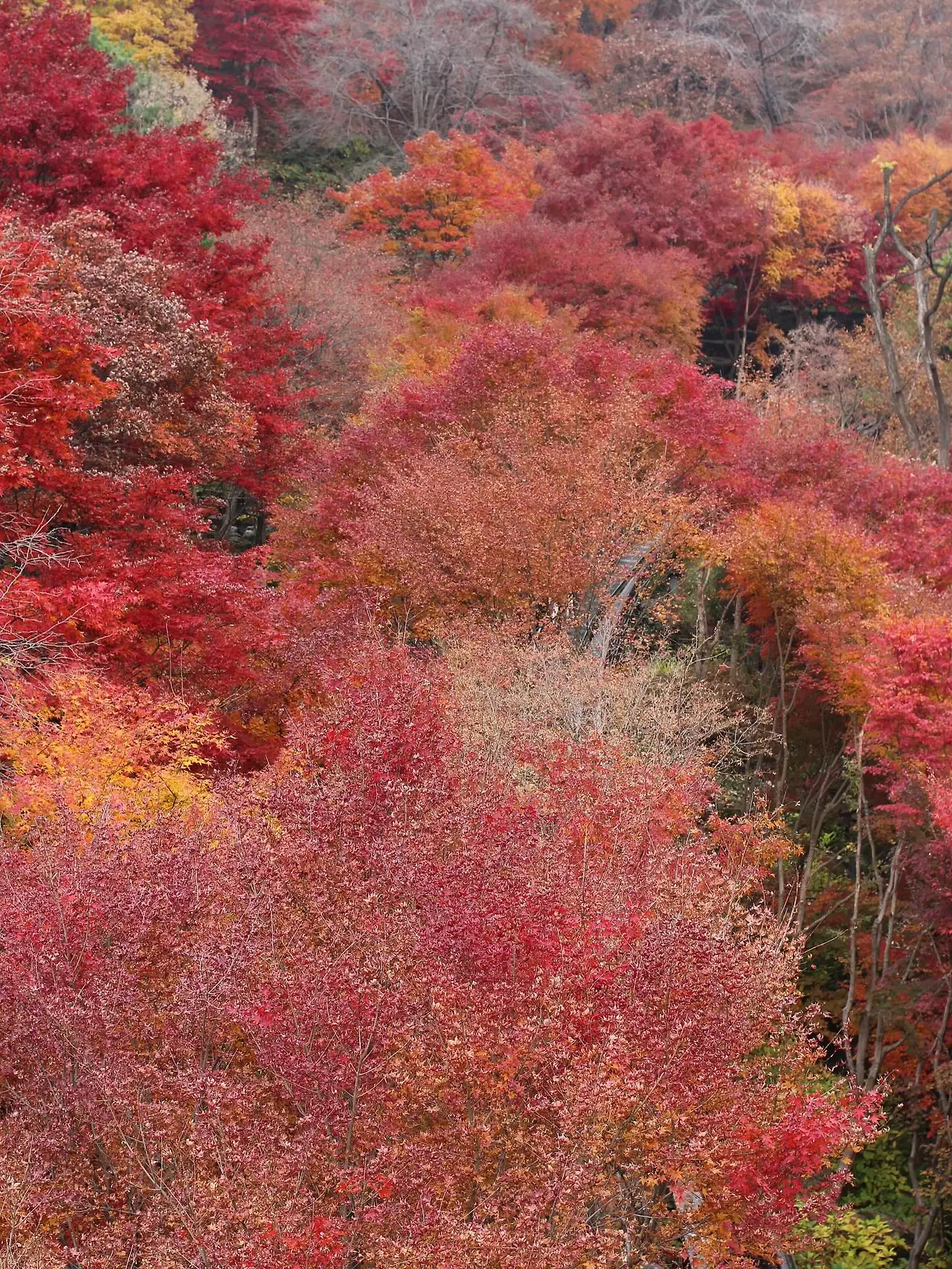 583458474_18541652833045353_2506151554611509680_n.jpg?_nc_cat=102&ccb=1-7&_nc_sid=127cfc&_nc_ohc=Yxrw331TmBQQ7kNvwGhAO8e&_nc_oc=AdmYBmF-P84BkCXyGeltrP1UO_EtKsx8dhLaiKr_cttSUwNMBkCDae5d0KiLgX9l3Ao&_nc_zt=23&_nc_ht=scontent-ssn1-1.xx&_nc_gid=HKPkjcKX7u8LBYNlJ5ZCFA&oh=00_Afqi6MGH2UwjT3FjOtjBmK8O4YT6nyz_1vYKb3n2eu3iXg&oe=695D4CB2