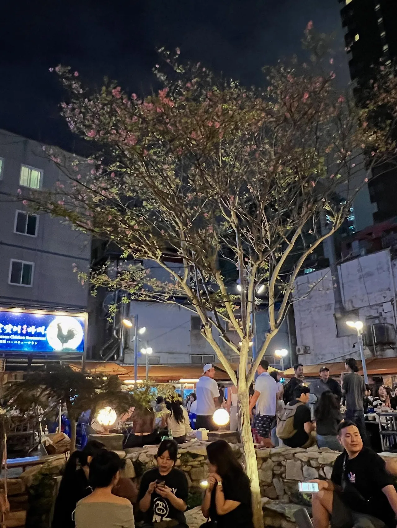 530761231_18521704939045353_633006547805522817_n.jpg?stp=dst-jpegr_tt6&_nc_cat=105&ccb=1-7&_nc_sid=127cfc&_nc_ohc=imHI6UvPw5wQ7kNvwH4LoJ8&_nc_oc=AdmGFaY2w2ci_j28XOH5xpV3X55F7QzyyQZ1cU2Z6BCg7A2FYO1mrQZvp-kOKsToFNw&_nc_zt=23&se=-1&_nc_ht=scontent-ssn1-1.xx&_nc_gid=Q69oyXcQ1NwZlod5PQJppA&oh=00_Afe3VJ246Dde1f_qPznm-Ijm_GlR7CpZ4KecgvDuJIDssQ&oe=68E5A377