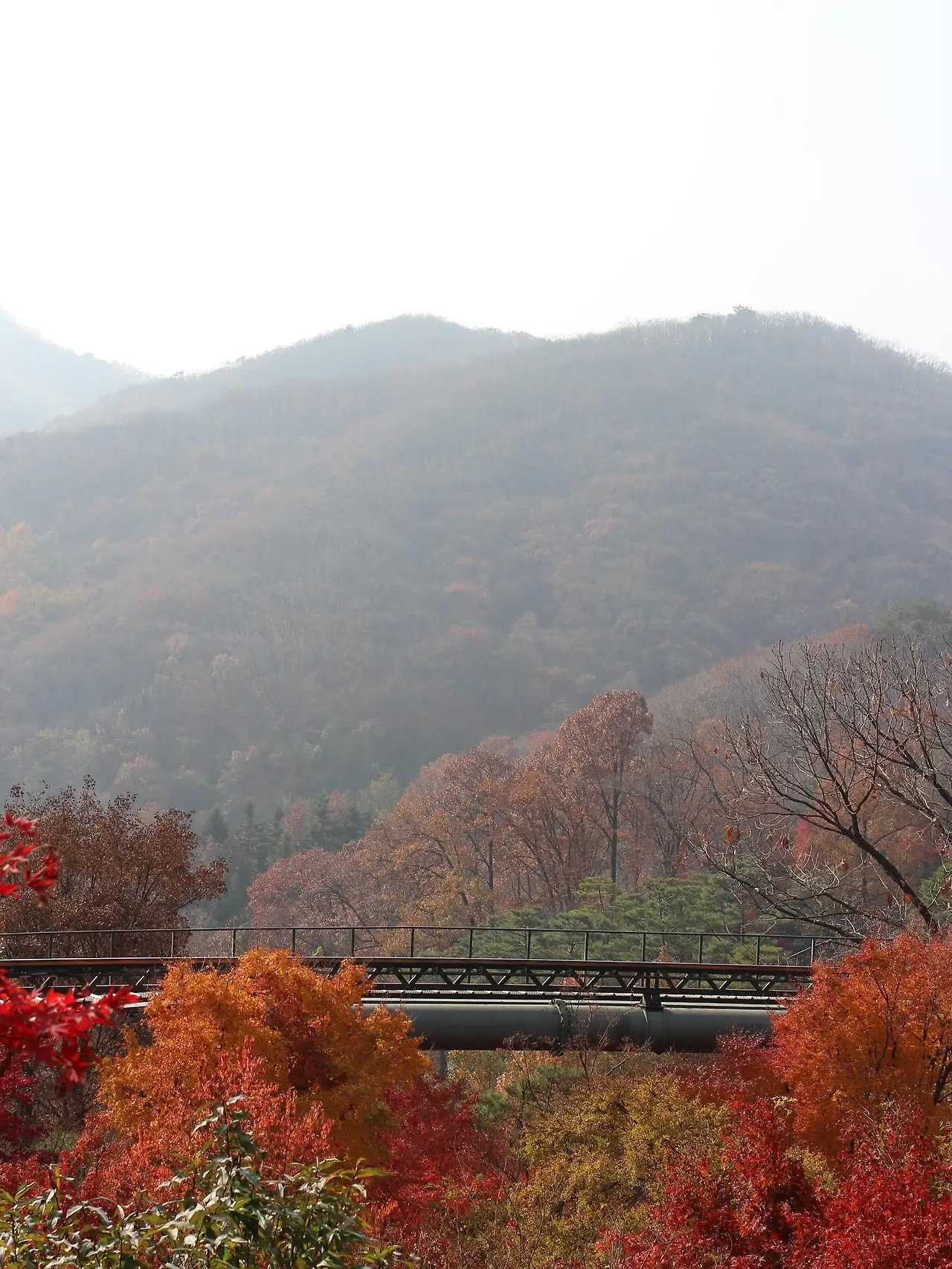 581052975_18541652878045353_2210397085886681604_n.jpg?_nc_cat=107&ccb=1-7&_nc_sid=127cfc&_nc_ohc=9IXQpiiUU84Q7kNvwEWIflw&_nc_oc=Adk0TFcGjDBJwkSJTEBoryPTAmvkyWQCp4psBaZ6N6ZSu8oOK6QUjQv5jxR7OICp_H8&_nc_zt=23&_nc_ht=scontent-ssn1-1.xx&_nc_gid=8PbD8qI51Nf1gJYxCEXFpA&oh=00_AfoAxYg58f4sD20Mc7iD9srqGUv0RW0xGQsmDqglGu3xPg&oe=695D5683