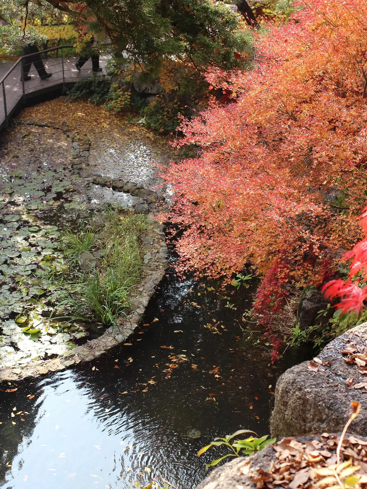 581735615_18541652896045353_2653794250128412430_n.jpg?_nc_cat=110&ccb=1-7&_nc_sid=127cfc&_nc_ohc=o9HmVxfTgBUQ7kNvwFA3jLa&_nc_oc=AdnK-xaQyBdfFgZ5n_SRi288O_IDlKWRoAiJrwGHEIK7PUdicT0UCI9QwxN0WXtPyJk&_nc_zt=23&_nc_ht=scontent-ssn1-1.xx&_nc_gid=spg_bgpPCbhCFeGRytcdNA&oh=00_Afpg8o25gXs8BXVGzEgqo539AM9IxMdkfore5hk8JUl34w&oe=695D5D95