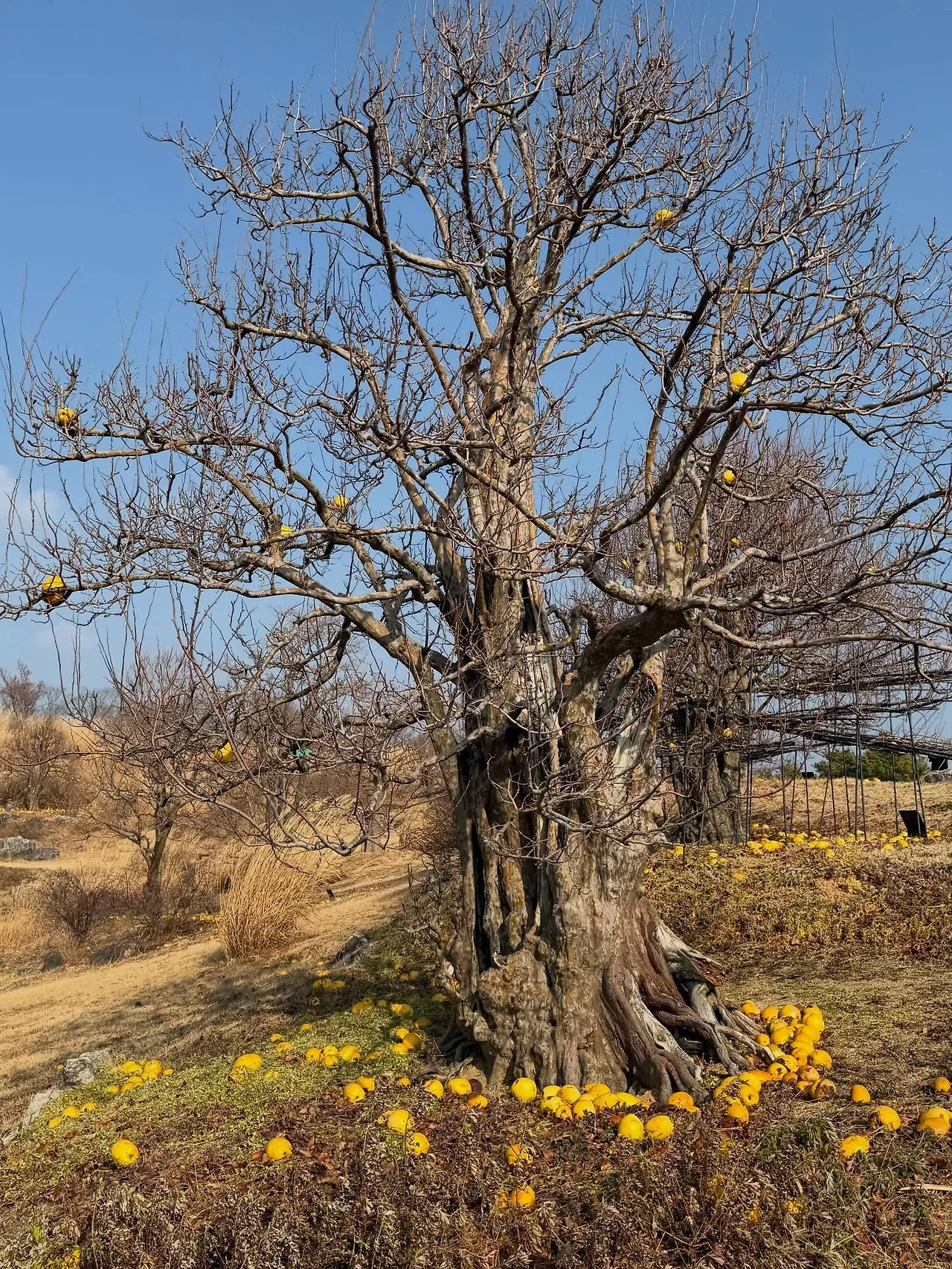 592583921_18547194520045353_4232434512810486095_n.jpg?stp=dst-jpegr_tt6&_nc_cat=106&ccb=1-7&_nc_sid=127cfc&_nc_ohc=LnzpR4Kwi58Q7kNvwGPisaq&_nc_oc=Adl-wZed4GkA9ejQIfhKCnrsvnFSXhA0o4R3usuY_ypbnLz1sQ_0bXkQevhVrHjlWGs&_nc_zt=23&se=-1&_nc_ht=scontent-ssn1-1.xx&_nc_gid=LtqCRZ3h7ePxb9Bb0njuIw&oh=00_AfrSPvY1ypVytcvMJxw9z7xmpqSm0b-ZWY5rJ69di-P0PQ&oe=696C1AA2