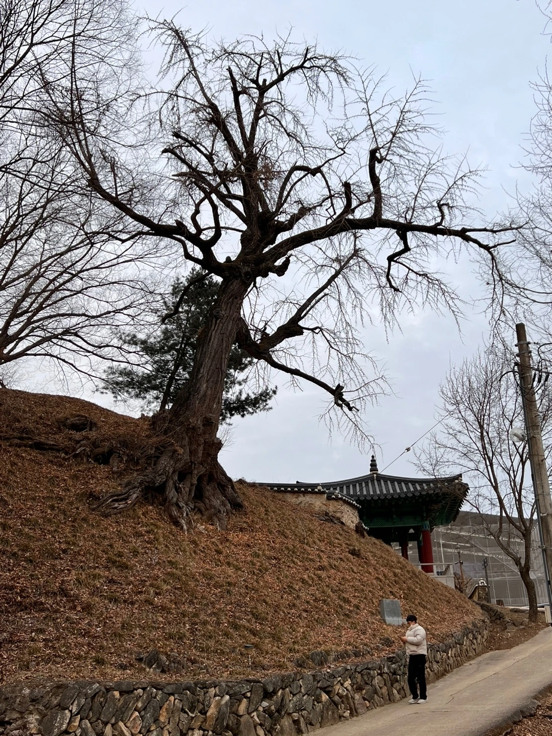 KakaoTalk_Photo_2023-02-04-13-46-19 011.jpeg