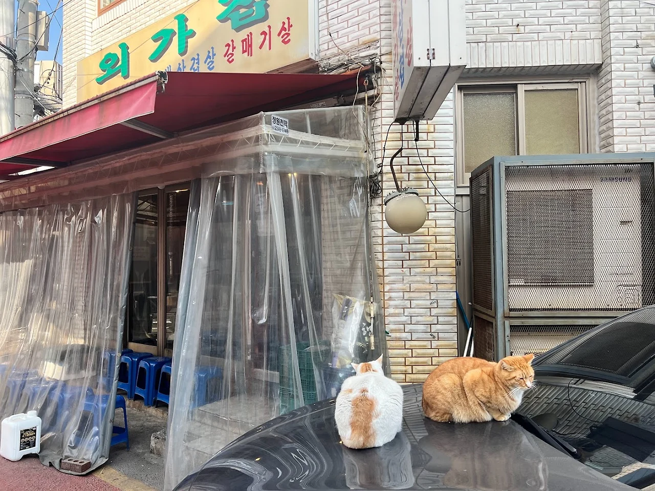 ABLVV87Opv665RCyvq01IUG6fKTUVV4k9HsY3gzCSVL8sVHIB4vW_mpHvaOnZl2tTEkSk0Ml7YCJlai0tEO_LGNcmdXTGSROFaiEhxsSZHwBH1D2TSb7hxvKvkEbO7pZlM_qMwC1G_J_agL7aSjQvRWsrcm7eWnuLefVotK1up6QW7DqW40es3o0_LZ7Fy10C1C6QeFgpSQkGtU86rPv6UkH_FQRw4T1RimWNc6kJac4wBlfZ6FuEZMUYQAWB4RCx8SkzboWEAe3paUJ9Llt_ayYrmrLd2lSyGdqVTxvDHgi9ohPARjpsoue-FYuB8eLcRHCwgwZaBFT09u27e9dU5ayeJKAvBhcRpCDHTpKj3CUZ0_Oq2Jy66RdA_sZtEUYvQynZjvvtbN-wvtFsuPtK4RwCf1FNQYpDdIOmeu_T-7Y5laSvci01kN_DVFBP9tSoVbnYRQ6IfhjO67eGrNUKIVrfdyJRTs1zC-usE9ovxmazjQbc0mmZswyGGRJcrnqro6W9lvelyJN9cJakphrr3spO2fOUZeuGSNSZSbaleKDkb_-L0aypKEyDsO201s-kX532p5puW9kbeY4SvRMnAlpOQdppsgHVrFmx1uADPsYwGbYmXY6X0wcyxxiIaIi5t2ZU7z4LC_OkxDRGSGq2sRZJBsINf033hl85dQzl0AQOeCMURa4CFDxCOyxK88fPOYm5HwGrVZzSglu_aDCG1-iUscdgf1zLOUr63RD2wEOaew7oRbxrmpXwXgjY1YdFRmPHkUFXQaeWrCzRlmKpc3r1zH2IZcOwm1SZ9XjaexTJN8NrGXFx_hHyHO5y9BsGpyYmsKfRHd3baT5SsY6r6MFu4DZhML7sRVE4uFdxIVyzvpo2DBWuEKdUDflluNZ4SVOXkeM5hL-CBy8BlO4KXNSSeHC_WsA=w1479-h1109-s-no-gm?authuser=0