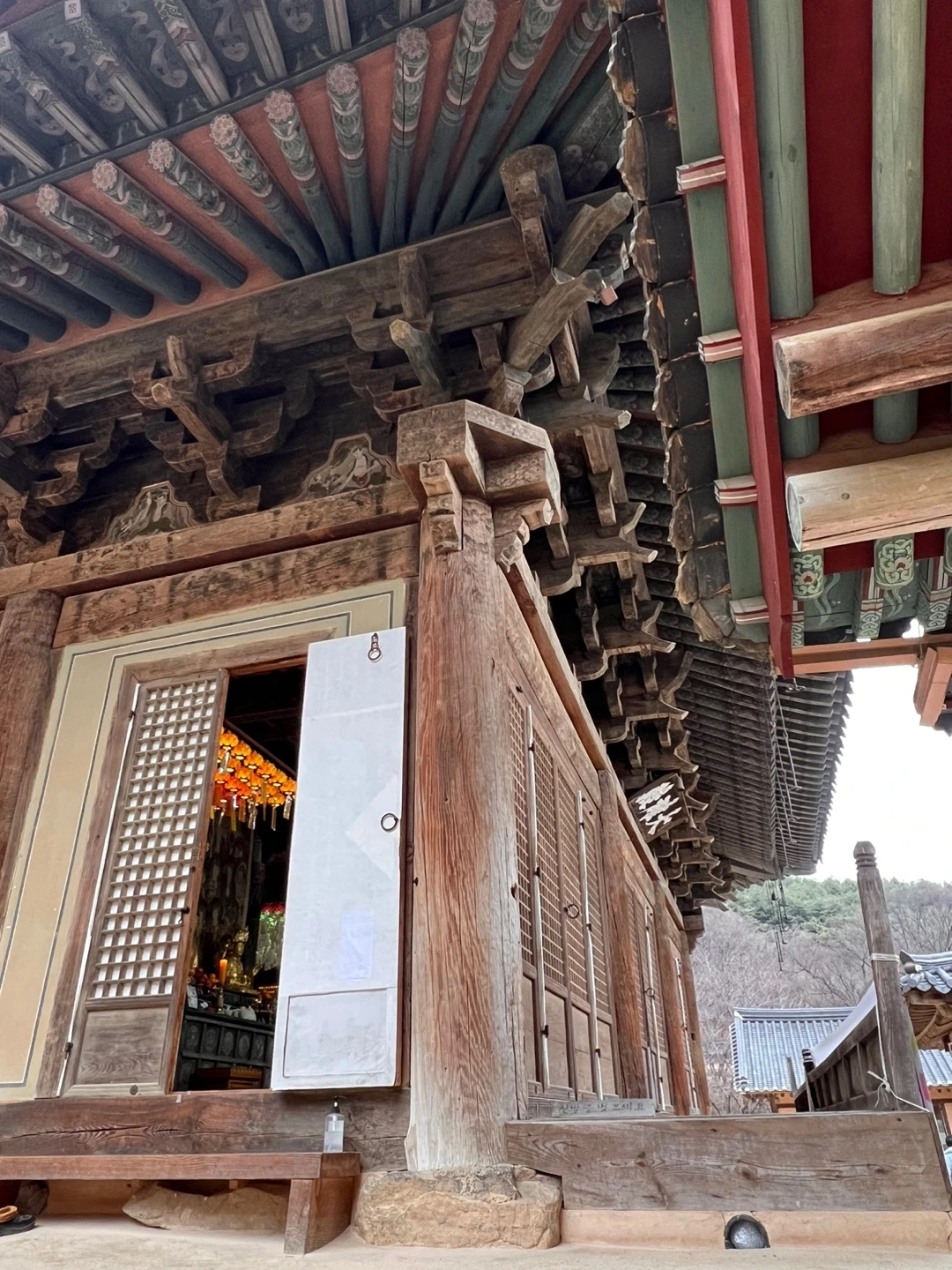 KakaoTalk_Photo_2023-02-04-13-46-20 015.jpeg