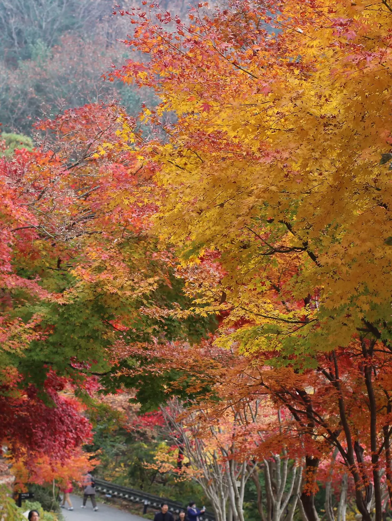 582429779_18541652842045353_6608323198380795044_n.jpg?_nc_cat=102&ccb=1-7&_nc_sid=127cfc&_nc_ohc=lx1qoO1Iz_4Q7kNvwHODsty&_nc_oc=AdmtnKakP87HFjQKpfc4-fyx3btvhDugalauTz_J6Go8EIHh6u417giix2vtdigPu6I&_nc_zt=23&_nc_ht=scontent-ssn1-1.xx&_nc_gid=wWHVJEdqKGKOvqTIcysF4A&oh=00_Afq4TGqWGkpX_qgAcX-9n7-atzfolJEL7jz7rH7K2eM9Kw&oe=695D5C1D