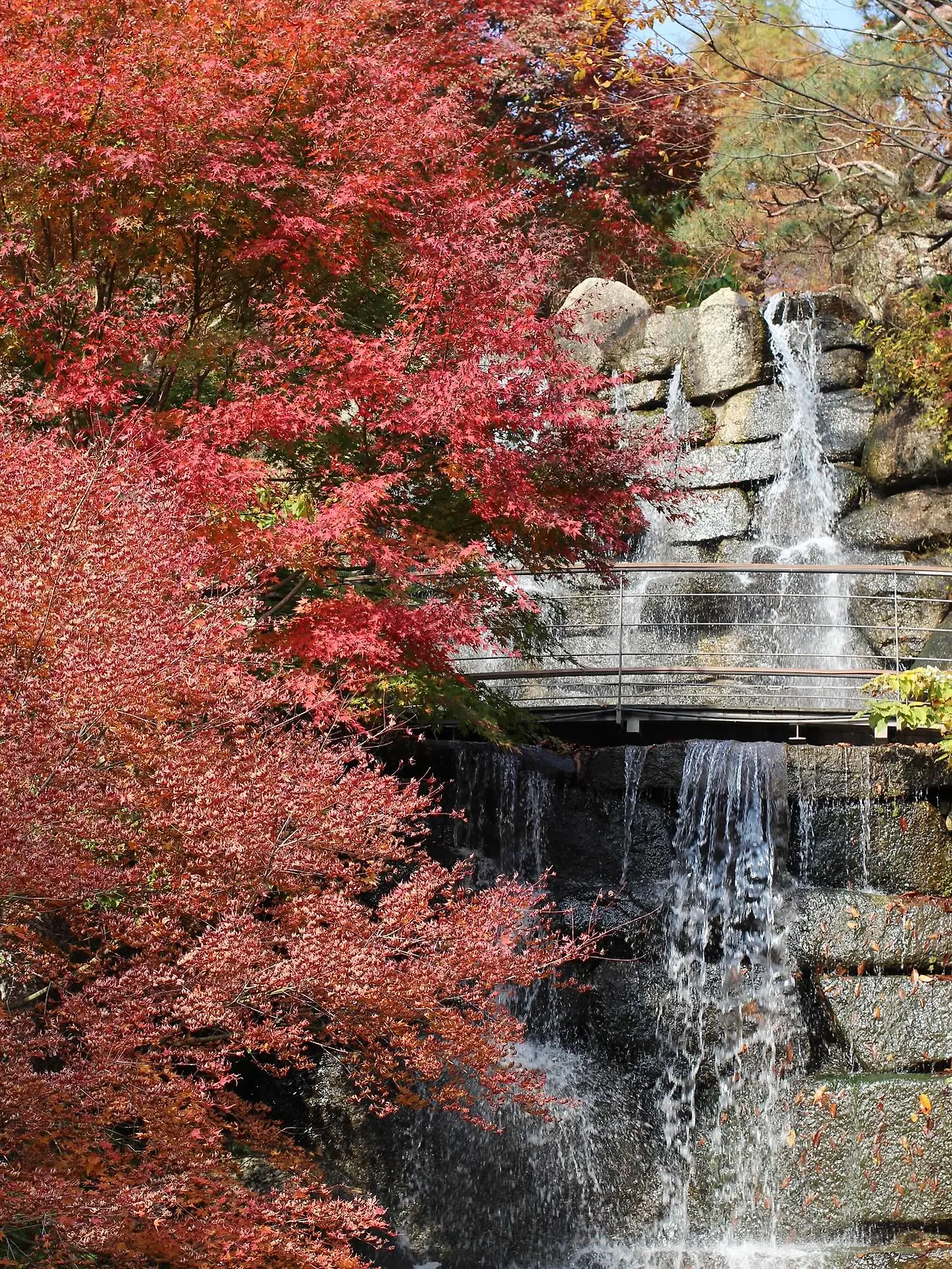 581117565_18541652887045353_5752634922194318239_n.jpg?_nc_cat=109&ccb=1-7&_nc_sid=127cfc&_nc_ohc=ZpuavVepFUIQ7kNvwH4UXUW&_nc_oc=AdkI-B-Qk8auPxC5l9K_Kqex4QrjQELlks-fqmcU34MEosGnMFWCBgZtI_adkLSK9Gw&_nc_zt=23&_nc_ht=scontent-ssn1-1.xx&_nc_gid=85OQn6hbijlTe_KvOid7_Q&oh=00_AfpbFEZeiAxvf3TZOu9cA4QfKfLqV6TLkNIrmTOK2gh2sw&oe=695D4B5E