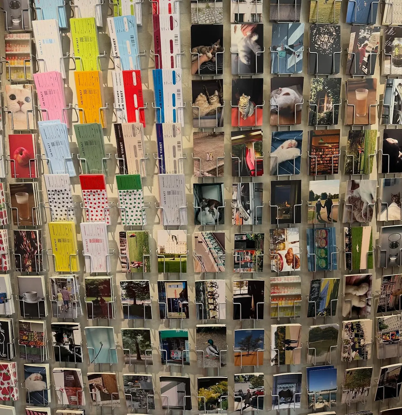 573876950_18539826571045353_3890582324389106129_n.jpg?stp=dst-jpegr_tt6&_nc_cat=109&ccb=1-7&_nc_sid=127cfc&_nc_ohc=cvbPWD99XEUQ7kNvwF4m2Ex&_nc_oc=AdlztbrOGxXJK_Fgsv69Wn_BDZLMZRi20dk5dDoanAgm10Vc32R9g-hAWlafsI1AlMM&_nc_zt=23&se=-1&_nc_ht=scontent-ssn1-1.xx&_nc_gid=JzQ95Pf-EaAttY-Joy2giA&oh=00_AfqhsY--Ng6MhnrxzPacwGFMJDMDTg8S1lSKDDFGqIvFKQ&oe=695D5322