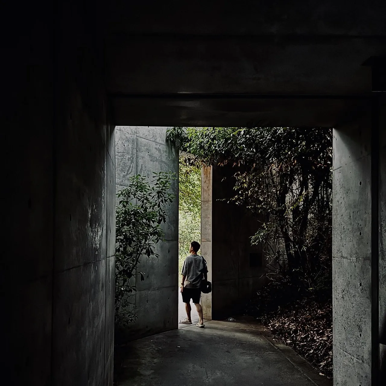 554994418_18530246389045353_2339892676412397580_n.jpg?stp=dst-jpegr_tt6&_nc_cat=105&ccb=1-7&_nc_sid=127cfc&_nc_ohc=T7Rf6XmEy5wQ7kNvwGhauEZ&_nc_oc=AdkBy226pqG3Yq3N9St8s6WgL5T12p9sM0q0JK0fyVxrduuOg-Atb-VCrjWyux7aSV8&_nc_zt=23&se=-1&_nc_ht=scontent-ssn1-1.xx&_nc_gid=Q8g37cDk32ivQFk2z1WJbg&oh=00_AffF_rtyIcRPlcrp3EhGLFbAJ5J0HdR79cuSNhmqHLKCIQ&oe=68E72BA7