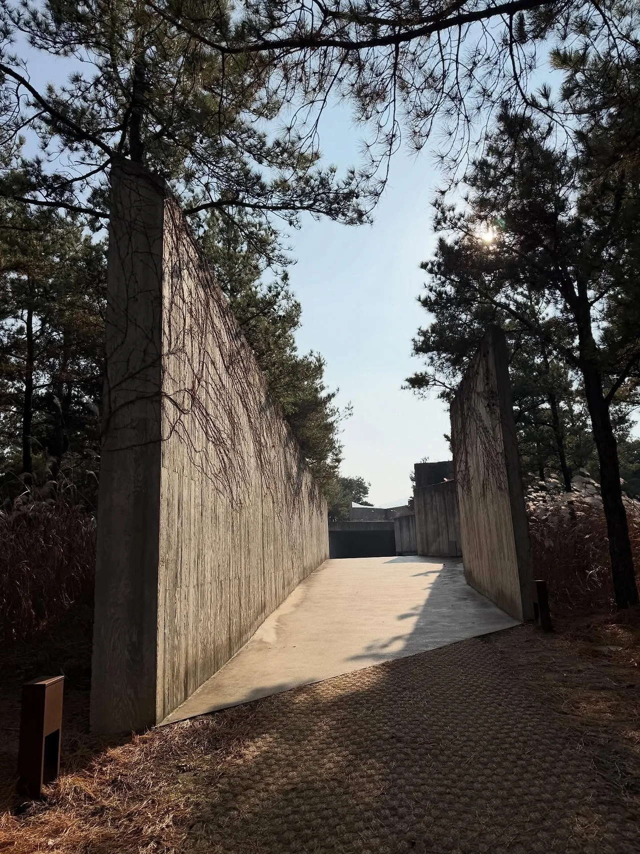 602455136_18547189822045353_5100978023800185897_n.jpg?stp=dst-jpegr_tt6&_nc_cat=111&ccb=1-7&_nc_sid=127cfc&_nc_ohc=fDq_B_9CZWsQ7kNvwE5zeYt&_nc_oc=AdmDCLy0hugvsYjn8KMhkaVd-NEAIFPYvd1U8xSgXedExcitwktICaofE8ZW-qLvauU&_nc_zt=23&se=-1&_nc_ht=scontent-ssn1-1.xx&_nc_gid=8MfyjvYad8L7lxpaM0c8Ug&oh=00_AfohLEKs5I6bIGyMCUyaqxkVmhDBRVAWzwvdhJ3u9sMSpQ&oe=696C364C