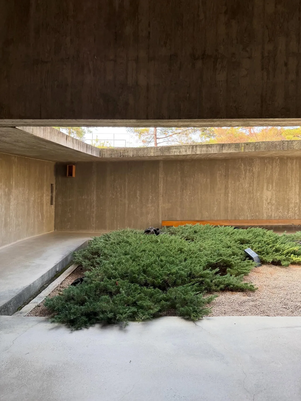 587817742_18547189681045353_883042408614261986_n.jpg?stp=dst-jpegr_tt6&_nc_cat=103&ccb=1-7&_nc_sid=127cfc&_nc_ohc=hfdDzLD3BgYQ7kNvwF9bAkD&_nc_oc=AdnZUiU3PLDGuOUDWt-7AnpNNTEwII20MU_8tZBqgMX-h649KrKsfWLFXQK3XcxGYgo&_nc_zt=23&se=-1&_nc_ht=scontent-icn2-1.xx&_nc_gid=vSMnJnKONEIoHU_pKY6uIg&oh=00_Afro3x-u52gJImoU1WWFXs3OqoQ-XXhHViO_VcktWQ4p9g&oe=696C2E68