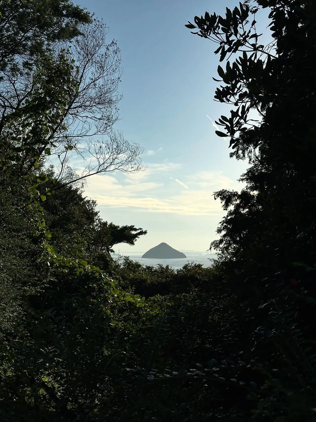 554797088_18530112355045353_4019884666321452666_n.jpg?stp=dst-jpegr_tt6&_nc_cat=109&ccb=1-7&_nc_sid=127cfc&_nc_ohc=f0JlOhEjfHoQ7kNvwH0zcXy&_nc_oc=Adm1Aa4ml0HbG3ERtMMhwQkYiyPbAXoergKzooP0uEPr72EDf2tTqetPI1Pbk1newAE&_nc_zt=23&se=-1&_nc_ht=scontent-ssn1-1.xx&_nc_gid=RnvOcTo_IUQd4KZvUZQAZQ&oh=00_AfcDATQWyafGHHVo2WPK9czs-n9x0glM1AMGOfEgrHhyCQ&oe=68E720D2