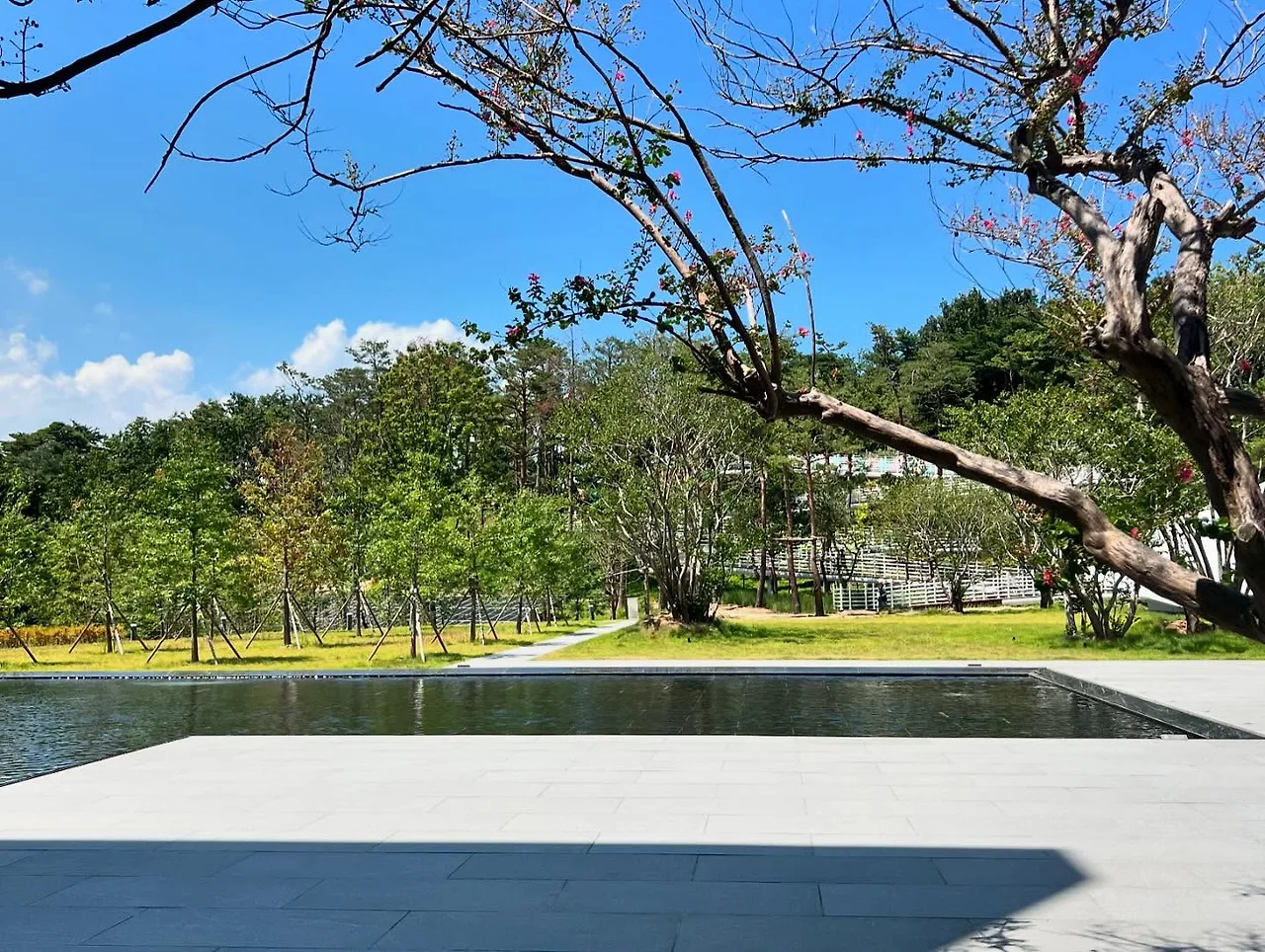 455703175_18453058864045353_757737552026793683_n.jpg?stp=dst-jpegr_tt6&_nc_cat=109&ccb=1-7&_nc_sid=127cfc&_nc_ohc=87FyjzfPYYUQ7kNvgGjDOu3&_nc_zt=23&se=-1&_nc_ht=scontent-ssn1-1.xx&_nc_gid=AY0lJcr0IzziMT-tBRmAILP&oh=00_AYAXE5klEdQlugn-gchTWHGglXLI4lb2RZg6Scaxo8_UuA&oe=67744792