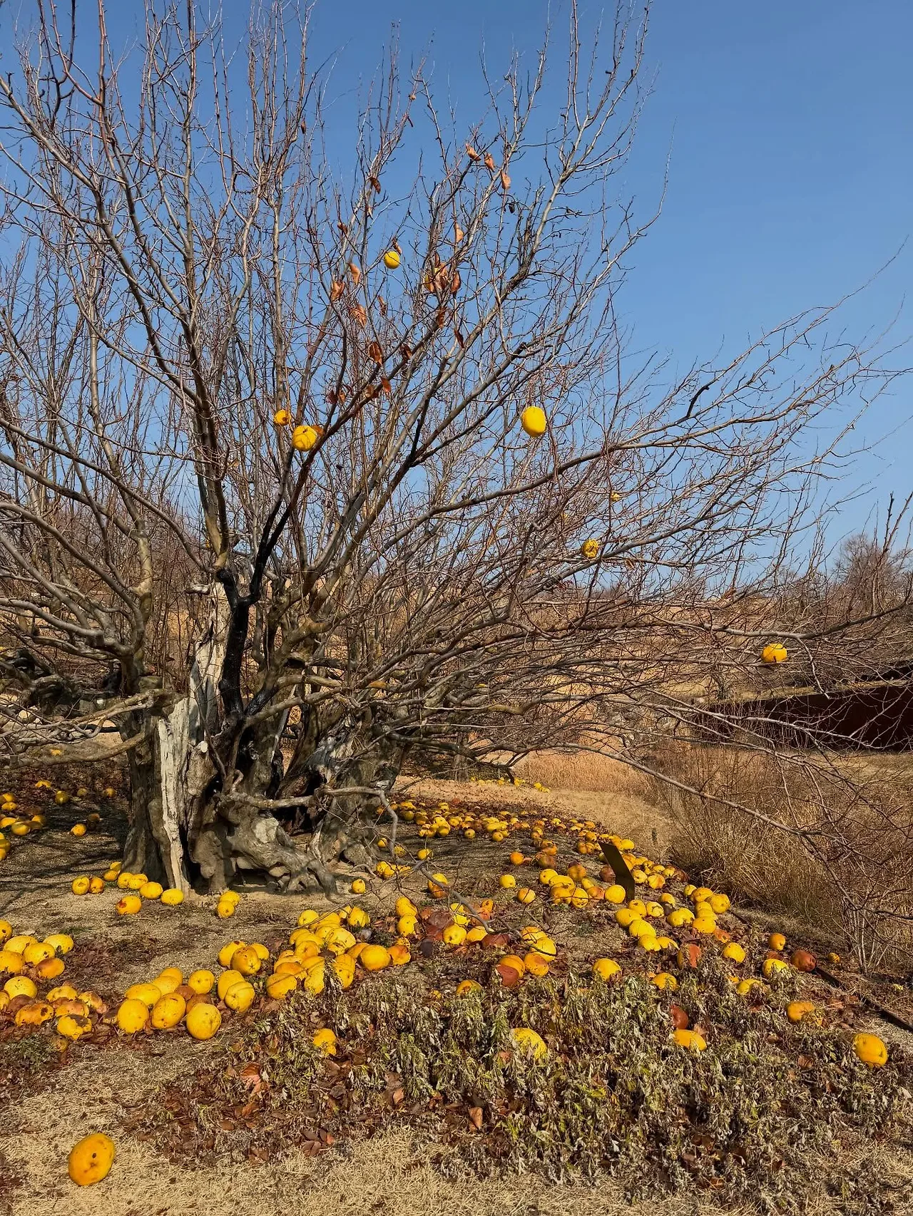 601361675_18547194484045353_4667313693209844659_n.jpg?stp=dst-jpegr_tt6&_nc_cat=108&ccb=1-7&_nc_sid=127cfc&_nc_ohc=kYHLQ3roJFIQ7kNvwHlayyt&_nc_oc=AdlOeRCaCFMgYhx2HHSezpfz9Z-0j9xin7KTeXpkC7pC9w7Gs5mgIVDJJnxPkzo50ko&_nc_zt=23&se=-1&_nc_ht=scontent-ssn1-1.xx&_nc_gid=ZH5aYqdBnKzCiek1Rq8Xyg&oh=00_Afqb5_Ahn3wLrBRFSFB2YoNxvfqTteSnn6T23FOGwE7Ajw&oe=696C2658