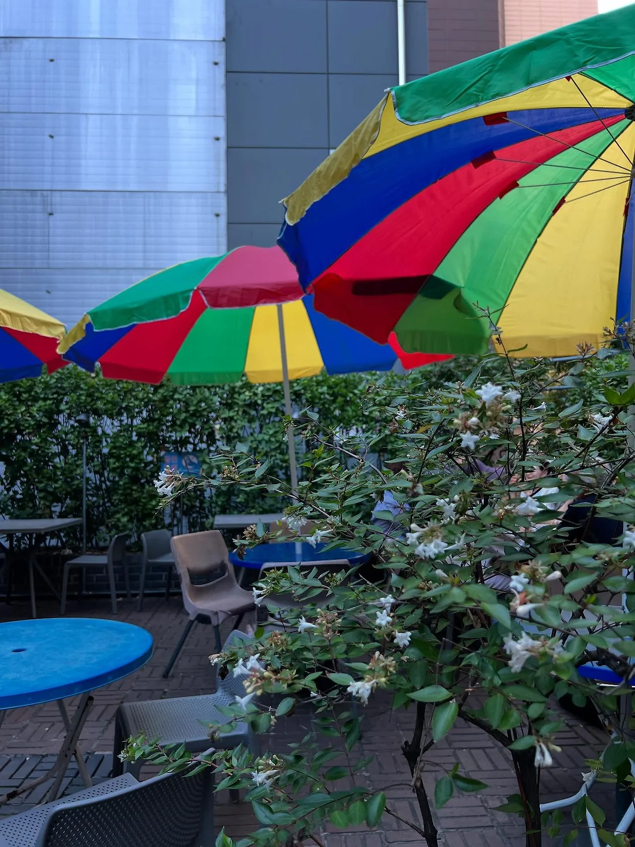 545212989_18526583635045353_3745930683318705514_n.jpg?stp=dst-jpegr_tt6&_nc_cat=107&ccb=1-7&_nc_sid=127cfc&_nc_ohc=VzOIFixypuEQ7kNvwGeQmtH&_nc_oc=AdkTOARtlEJJ_Noovl2kunD56BTAUgzIXubMlSpkxyQ7PudTuLnsD0X1ETD52CBQCRM&_nc_zt=23&se=-1&_nc_ht=scontent-ssn1-1.xx&_nc_gid=2EpF2qibMdOLaCrguR-gYg&oh=00_AfdDe-HUso5VQuJBlAovPUy6iQMPk1lg6jk3fRdmiFKEmw&oe=68E68989