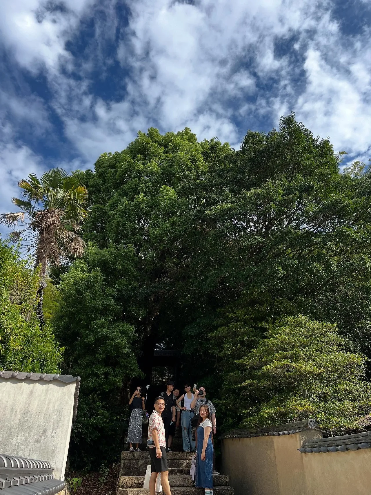 554303441_18530112685045353_5686412165204134748_n.jpg?stp=dst-jpegr_tt6&_nc_cat=100&ccb=1-7&_nc_sid=127cfc&_nc_ohc=TKREm5BP6W0Q7kNvwGM-Aen&_nc_oc=AdnD5HmughNm3ciKNw7BmYjr21G_2zOy_UFMW7jGRKSZh_AaKt6GU0h2xOff3RTcm84&_nc_zt=23&se=-1&_nc_ht=scontent-ssn1-1.xx&_nc_gid=Un4p1Ae3mTfWIQjmf7Acew&oh=00_Afe98TEfwGmIV190t8DIPZVCzkb76z_h0OeVuQf_-kAS0g&oe=68E6FE07