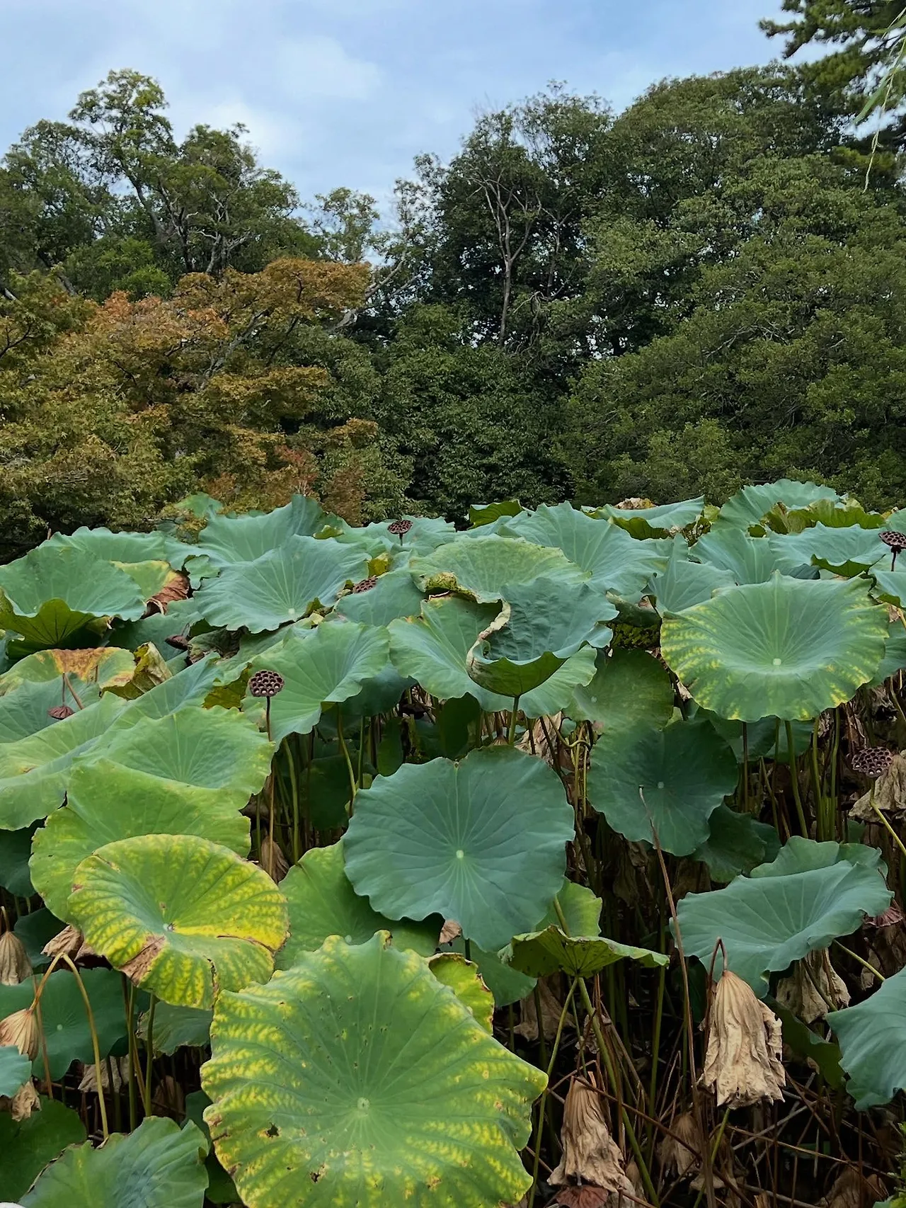 557200003_18530110840045353_3429492403347361927_n.jpg?stp=dst-jpegr_tt6&_nc_cat=111&ccb=1-7&_nc_sid=127cfc&_nc_ohc=avVTdYCAY9kQ7kNvwEkxNe9&_nc_oc=AdmsA6G2kufDm1PXjKeeoWcQMexrFHoIZgOc420gp3lc19gSd33UAN6RZ6EzYMVm89E&_nc_zt=23&se=-1&_nc_ht=scontent-ssn1-1.xx&_nc_gid=PQ8g_17fG3Km8AY-H29BGQ&oh=00_Afff4IhQK8CT6IDBKtrdBjKVFCERfCjAtNC_G-Qdjat6jA&oe=68E711AB