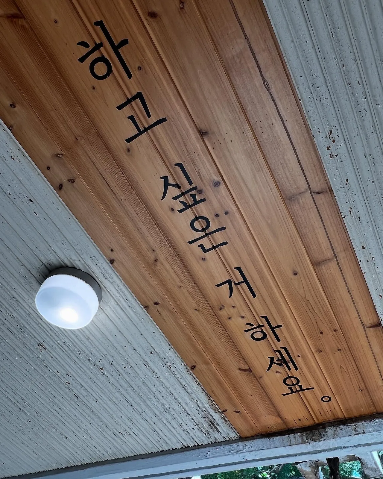 491329164_18500476777045353_8782700820143887798_n.jpg?stp=dst-jpegr_tt6&_nc_cat=103&ccb=1-7&_nc_sid=127cfc&_nc_ohc=vp8BjL1l4uMQ7kNvwFDOhgU&_nc_oc=AdkhhOjP-6K8mxjIsNVVUwKCuhzFiAg0torW1PiEIJGsxgFrWVDvIigwjo_-UKK2W5c&_nc_zt=23&se=-1&_nc_ht=scontent-ssn1-1.xx&_nc_gid=Zbt7Y5hCqFtXKzRyr2edVw&oh=00_AfFA3GPMZttq-AubQlfa-5VPssh1J6b9cTBztbi4xvMQDQ&oe=6812C96F