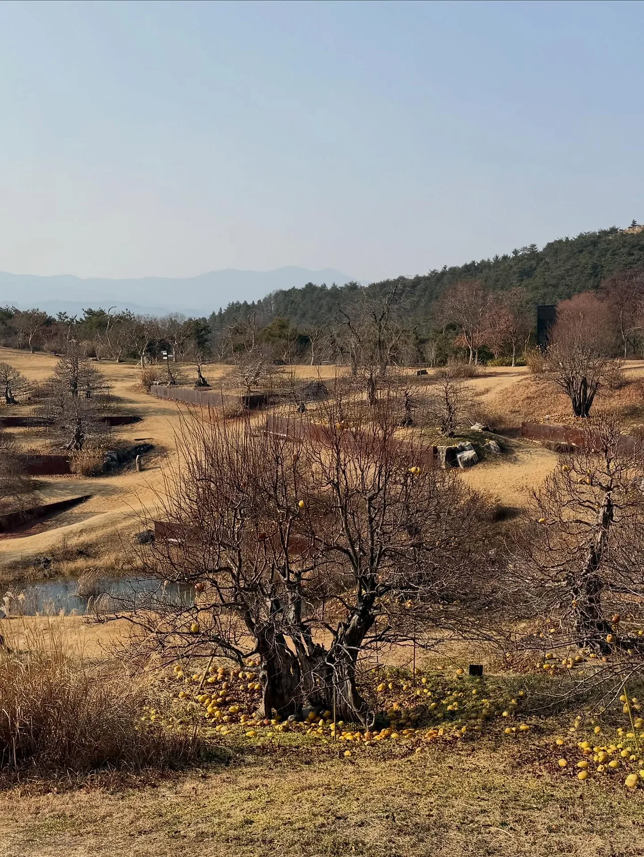 601297428_18547194529045353_857077378382927834_n.jpg?stp=dst-jpegr_tt6&_nc_cat=102&ccb=1-7&_nc_sid=127cfc&_nc_ohc=RitTMS03H5gQ7kNvwHi1qcV&_nc_oc=AdkmD2d_ehHEDtvbokVPOTCIw91phMWUAQvD6vMLF7w7wWPBfCPMJRLUzhqkRbwxQnA&_nc_zt=23&se=-1&_nc_ht=scontent-ssn1-1.xx&_nc_gid=7nYGWq6pkblpIrX_sg4YTw&oh=00_AfrB_2TG-ibv63061Y8GC5Xaz368ZC17ZTFO7NguRjIJbQ&oe=696C2810