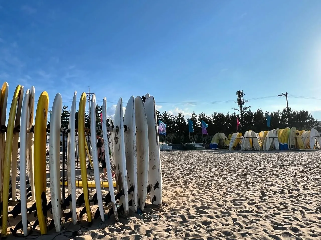 455470047_18452833984045353_126222208435074996_n.jpg?stp=dst-jpegr_p960x960_tt6&_nc_cat=108&ccb=1-7&_nc_sid=127cfc&_nc_ohc=txxXaRQ-Vs0Q7kNvgF3DlEK&_nc_zt=23&se=-1&_nc_ht=scontent-ssn1-1.xx&_nc_gid=AzSbr6RuyfKXkurguke0VeR&oh=00_AYCNPhuPew_CrKl6H39scsv3a5FP--wu6gjHM8PtIPIKVA&oe=6773FE06