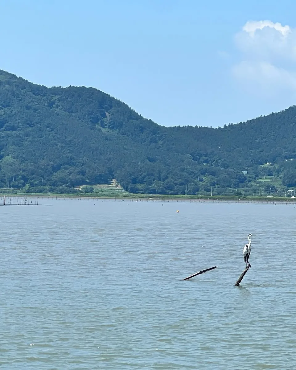 453532377_18450179332045353_2568795995612320220_n.jpg?stp=dst-jpg_p960x960_tt6&_nc_cat=109&ccb=1-7&_nc_sid=127cfc&_nc_ohc=fCrYehhTo1wQ7kNvgGkgsvH&_nc_zt=23&_nc_ht=scontent-ssn1-1.xx&_nc_gid=AYoDn7DFXNHjEoDtiheQCxa&oh=00_AYCJTSzLCMoZB5axf3JT5iArB9P-B6lubrDxLZ6sNlpoAg&oe=6776B4F6