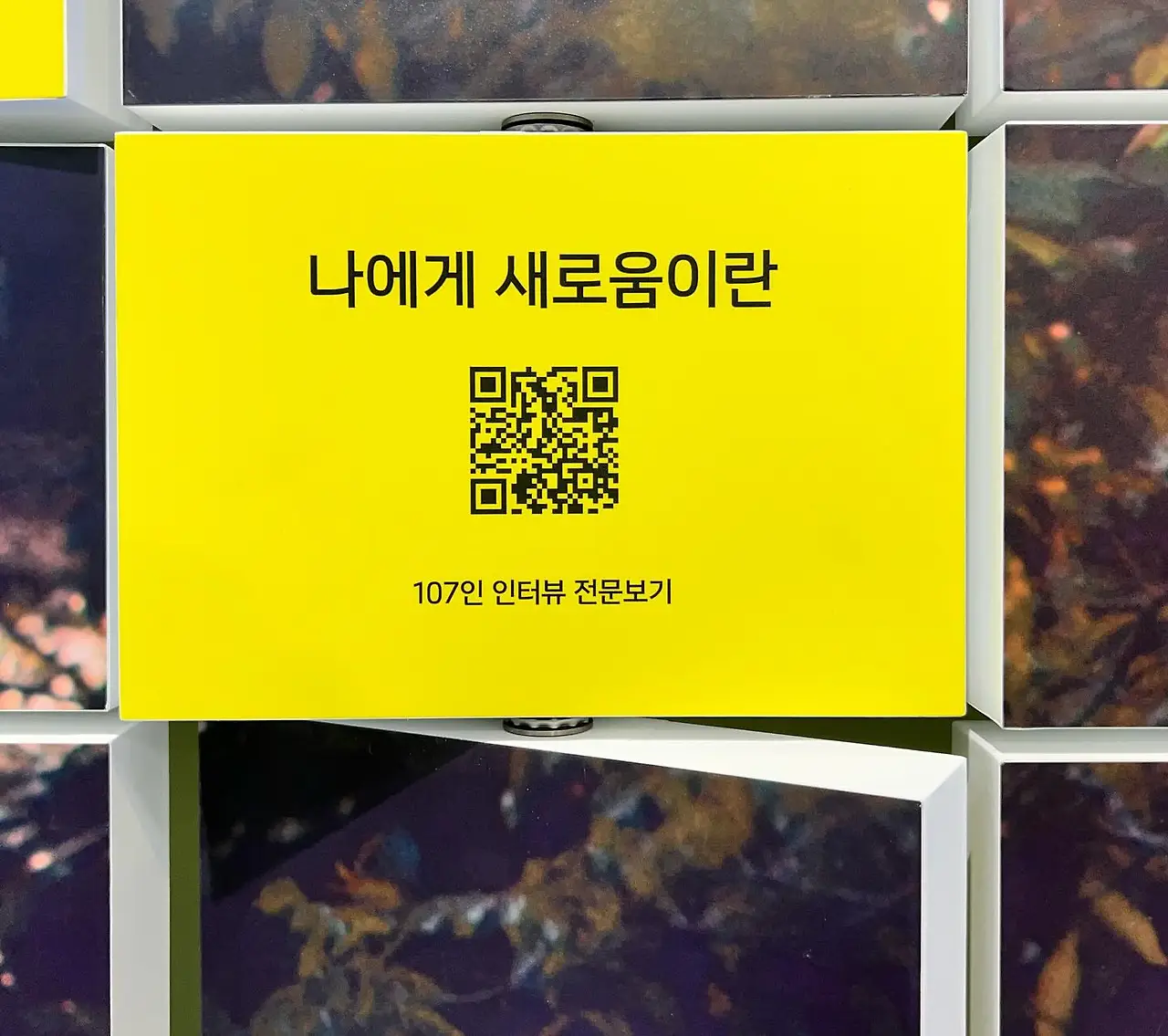 412762453_18405669388045353_6689841248803416574_n.jpg?_nc_cat=110&ccb=1-7&_nc_sid=3635dc&_nc_ohc=xTZUdqhyKagAX_WI4QB&_nc_ht=scontent-ssn1-1.xx&oh=00_AfCipE6L_Wnnlzr5J4aRjNVoAMGrFCqEU7VT9K6HXOQXtQ&oe=65950B8B