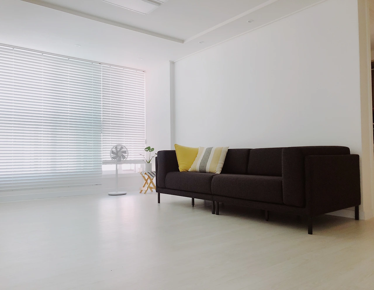 1E9EA4BA-4B9C-4294-8FD0-BD60CAD5923A 2.JPG