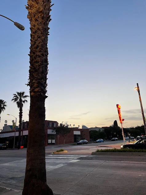 LA첫날 하늘.jpeg