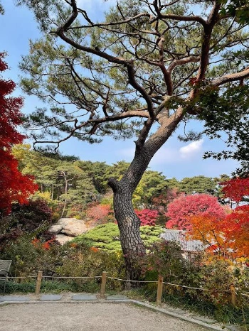 f7p3KA41V3dsXt_rWJ7a2HbdMwP4i0fu3GvYU9ZGV1oMUjT0-CEuu-Nx9JxkSMf03mvdmeOUsYcqnXrWk6BdvAWedJQn-hT-U32CRHaf-N9UOIjZuhW6U8Owz6cc2GmgaUn48Q0LGFxwJ0y44_bNxJoFg_okDRdFDWwaGdvN8M_V5Qg5Lib2jcqaWJ70Etq4n_58CLOkq0f7d0EbCCWf3GKllb6wIG5etPt2EBktSqK4L4Q-ZYxUaYg-yONcg32cEU_SnEz_CNBmtxWzzndenWl5221K_EQwdxzVbN2G3WJMH4a7lISN9wYQZnlRBYA23kBn6X2Utp0hrrFMFRQKB7STGZxbRg_1EGVDkfG61LR1OHStqG0o7Nk5gLxnmIaRG01SLicGJnTyBqC8Dg95PpbW_zDIQJuLgAKWcPhWtHl8KeJwRBFjZWoUwOVFyxMHHTBSLIo-0CEsDWaxqkcfZY9WXwGI3wtJL9yyJw9qieYaYc8k0UYBfOQ0ZIROvZTN1jXGAsvqy7K20ApocoY44ArppXPBZ4L95SM4nspfPfB4kUIjhiq6sH1FPHnfeCL-v6PMhu0MVV5THgeFIpUqwhvmCPalviVpjYuUzTFtFi9q9z1OZ5-oqbbrw4DbvhNrEzzbnuBKUg1-ZonCm-k1u4Ch97vUp2Cp1LUB2oEcY-52Sngsze4rACxb8iFLvoZ2-jgYl-hAgmWNVwSI-OBpZ7Xw=w518-h690-no?authuser=0