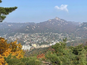 TUk0s-LqJmdd2m58t7G1pZ4UbsJRfuZKgpwlzRDY0ZqYjnHkkS4uNUPZ_OJFm-6NcfBUxN56bbq316lbG39LVOiEX77kENn8X-CoEkTFKL9k-tOg3Q2Zl4uUWz7QX6kox6ZTbUu4HWgdQqApX0Cv7hdaWq1ExiXXeoSQ3ZBA6SfJYo6YapgxzwKv6cPhTlci20IirR4mabyXn9pMYzQHn3bqB7oN_Rj-u1cOBOi8HRYnZjbed7B00rv_qq0c_HubKCNBJPY7DJV2eKJf1kuuaHcQ5r-hFw4gq6j-u4secs7Ss_bIHzRFGCdi01wh_5SPKf5CE0Y4SJ6Sz33ceXxr0H0HLlViGR6SZMehhs9wnbAbQYkXt8P-WQ4n1CcK6jd0L9dqwBFPvj00KNVhT-WIMrB9u34T3jfrsjssBLZqT03EeFLLvzjR3fjNk-9B_3BX4dltLol6PI6RI6keY_FBOdC5rKWfwqFQ79D0mWx0jcx1p9dUDSNizk9oFEfH0nXIcB6w0qa-wnLt0Gd7TdHBRI6NMzIdAiNU6o3O_pTzj1WWzg3Vx4gST-nBe29t8r6wv7gOmvoc3EuQ60TSTcNJrmJIv1h5JMmZ6kBZE7bpPYGn43iROcXIoxZf_QgcgNQovLUhOJ6ky_Y4dafz1KFMbrfIc2sg_yAGLoS0CtSTz5Th_Emzf7zDkTe5vOR4iHgzTk4bwl-W9_5KSnjUc8RRdXOM=w920-h690-no?authuser=0