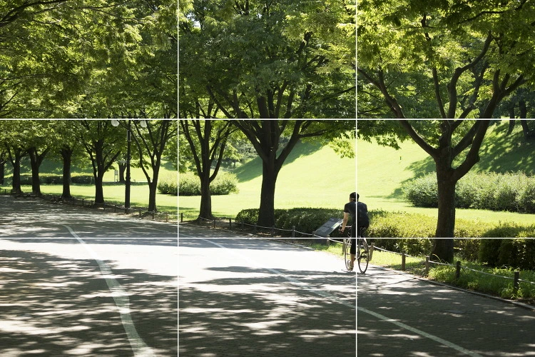 265A0A4256E006BC2BBF06