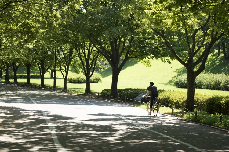 267E853F56E0065D1A3C8A