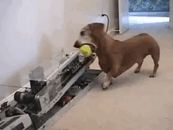 253B234A569784D9126596