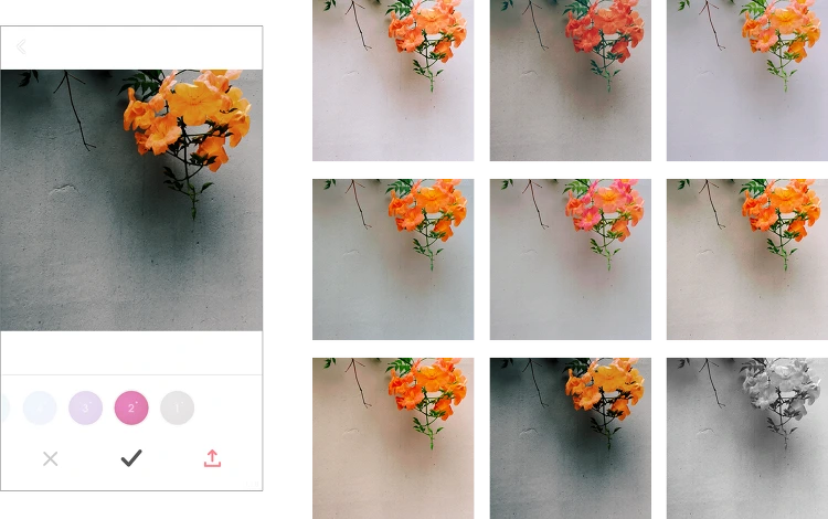 2772644A57CEB9E0353BA2