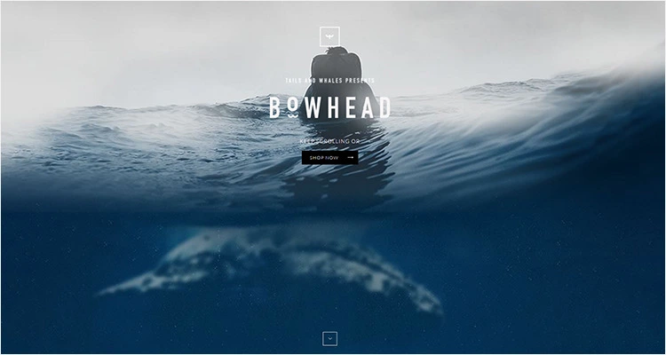 25204C4856F2A96A1AB32A