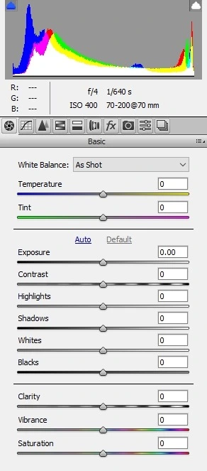 2419DC4A56E0089A207272